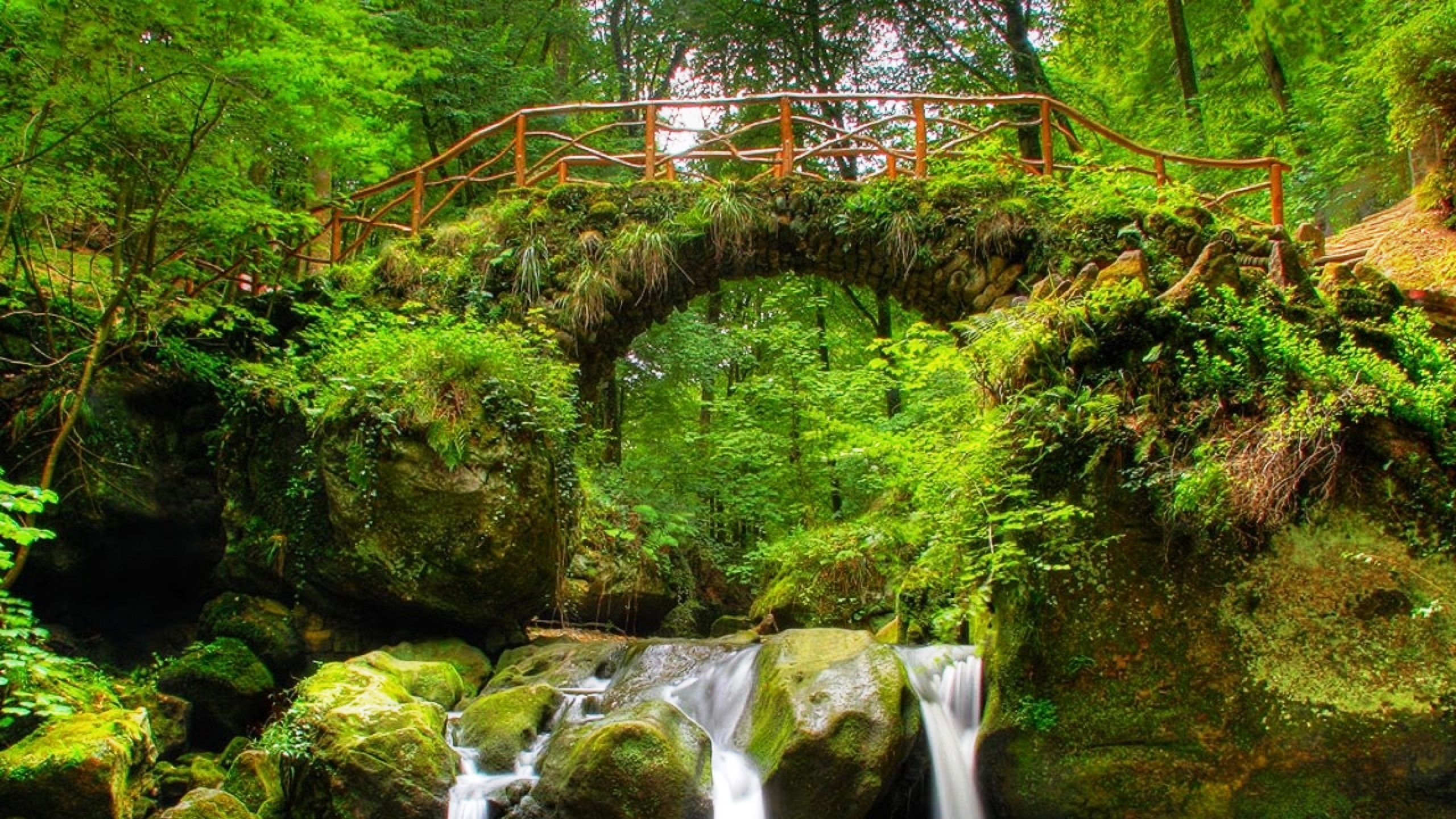 Forest Bridges Wallpapers