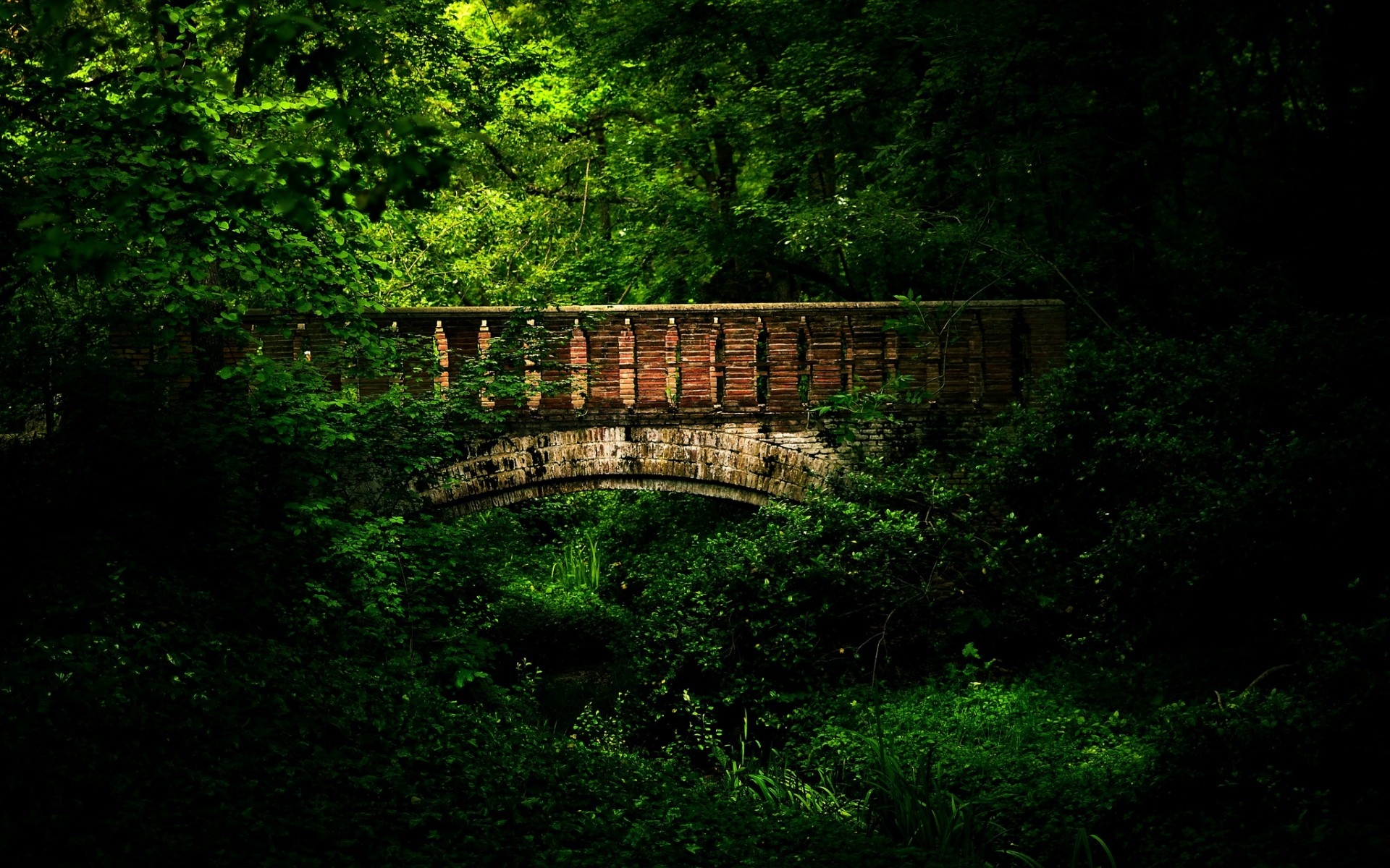 Forest Bridges Wallpapers