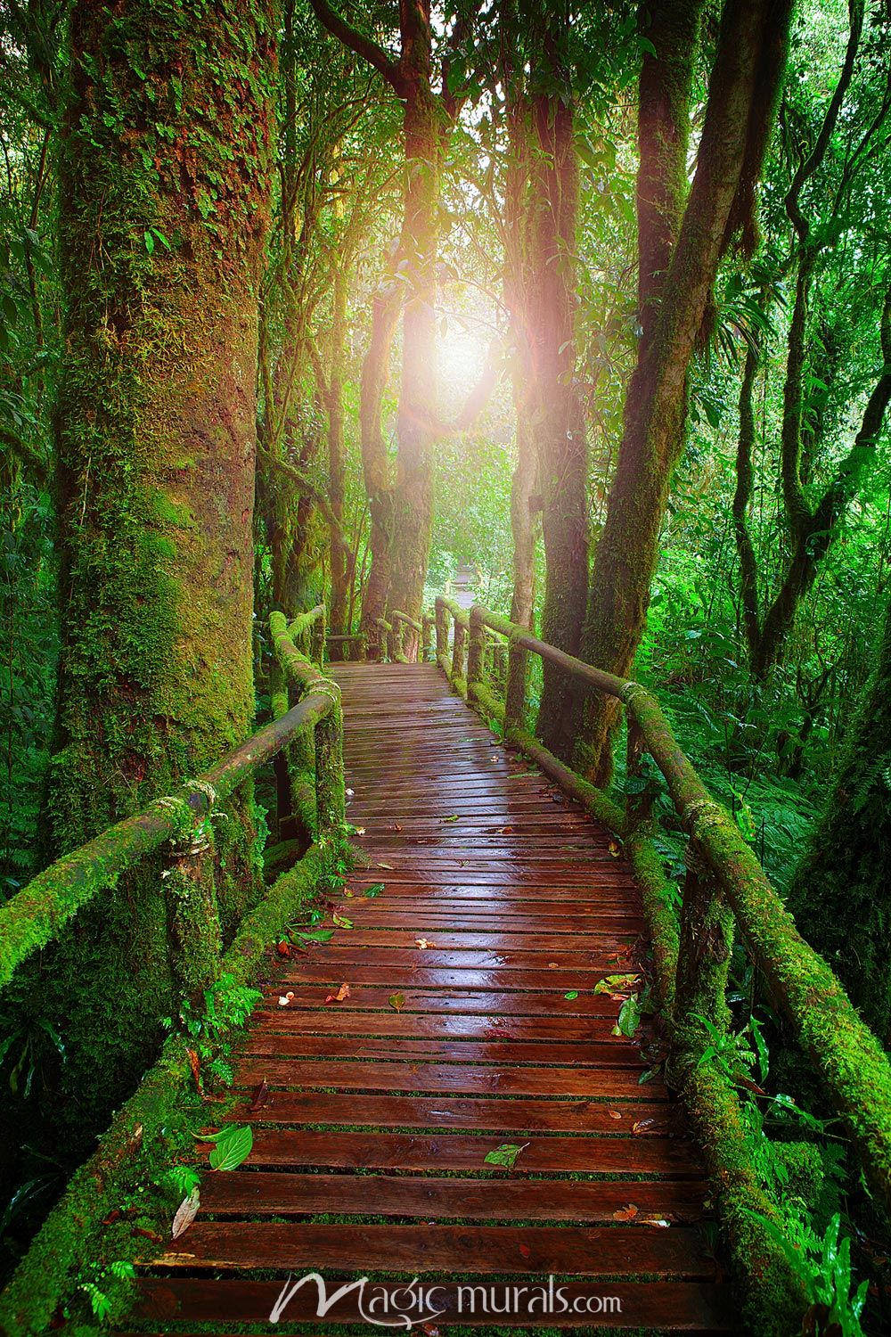 Forest Bridges Wallpapers