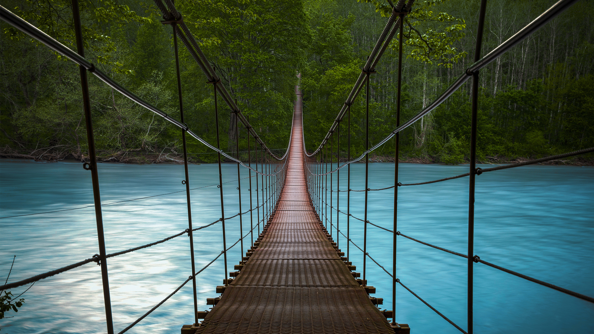 Forest Bridges Wallpapers