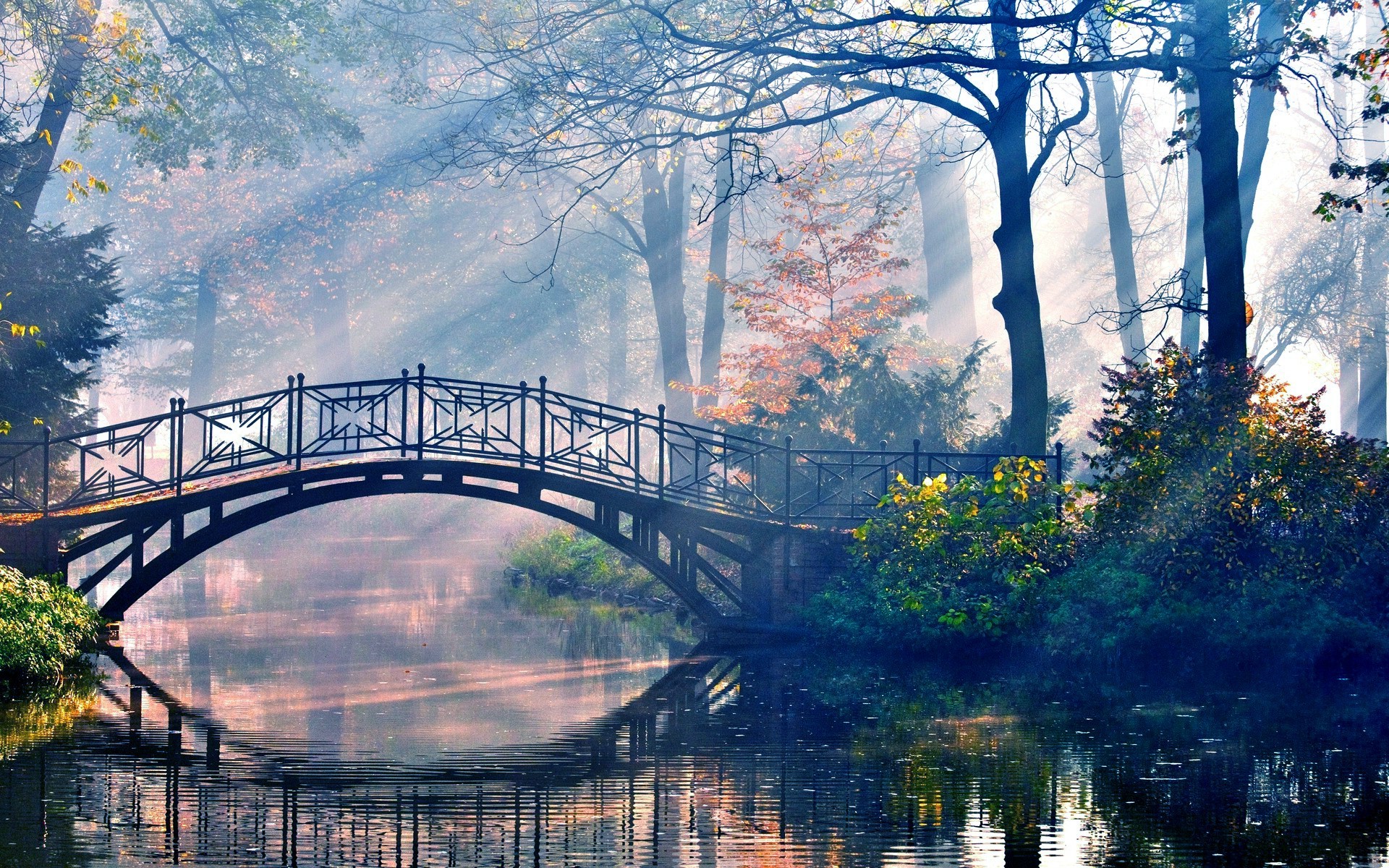 Forest Bridges Wallpapers