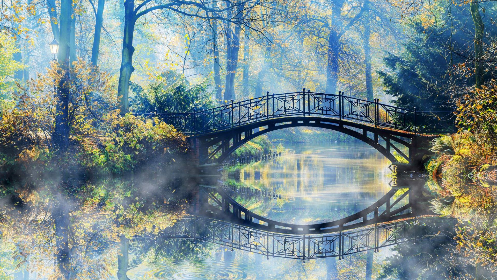 Forest Bridges Wallpapers