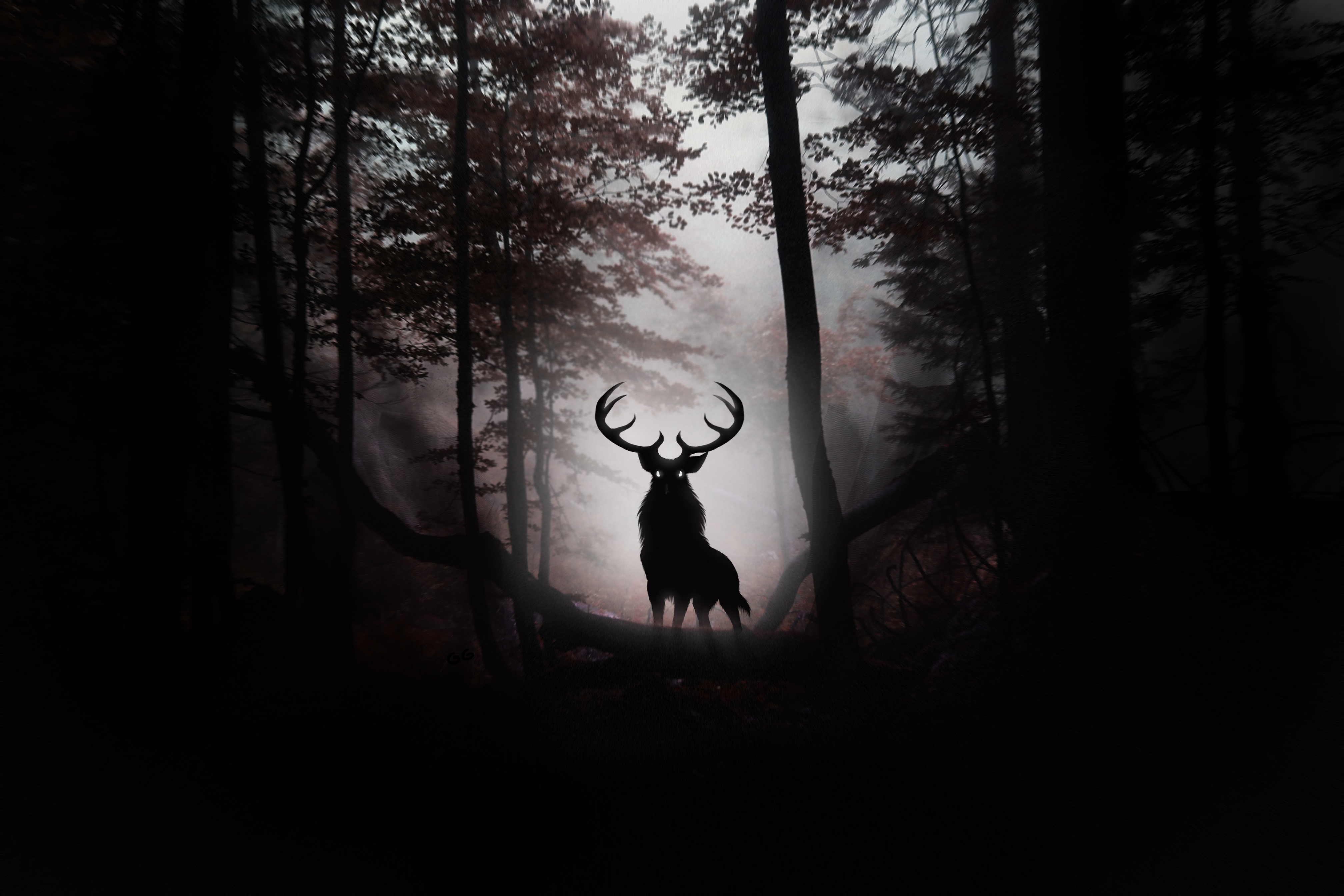 Forest Deer Wallpapers