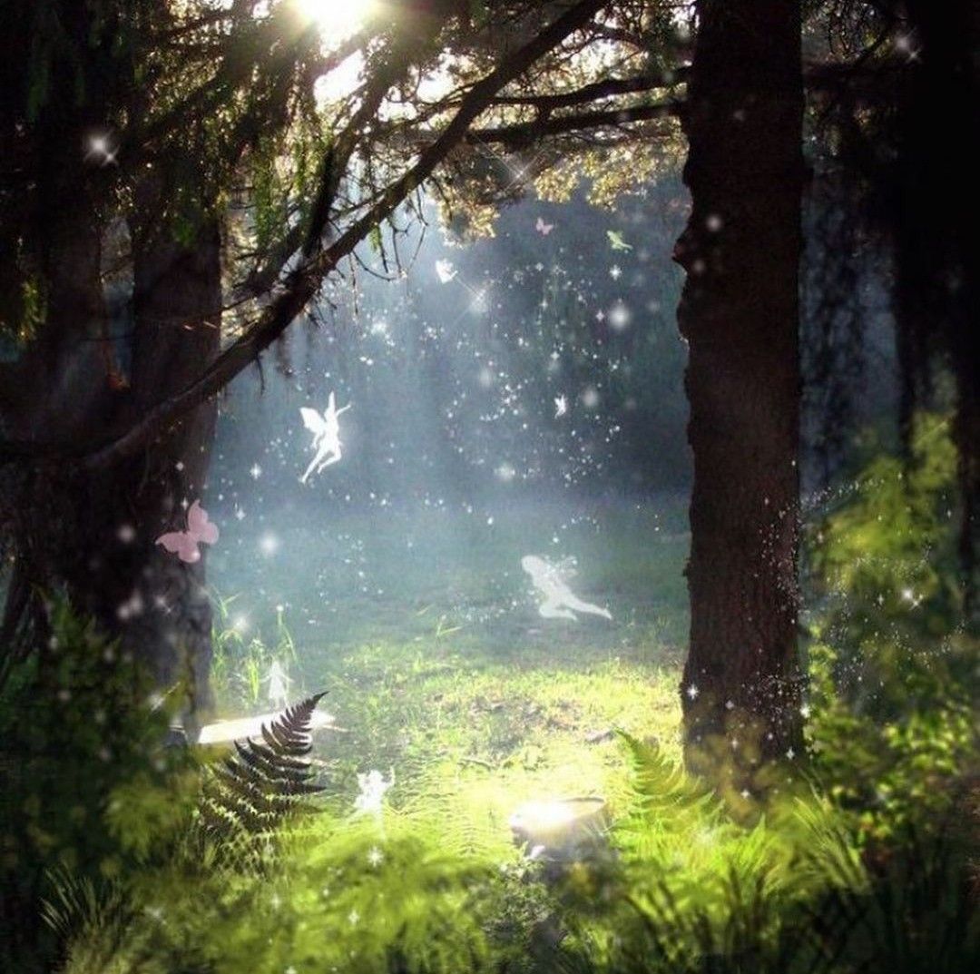 Forest Fairy Wallpapers