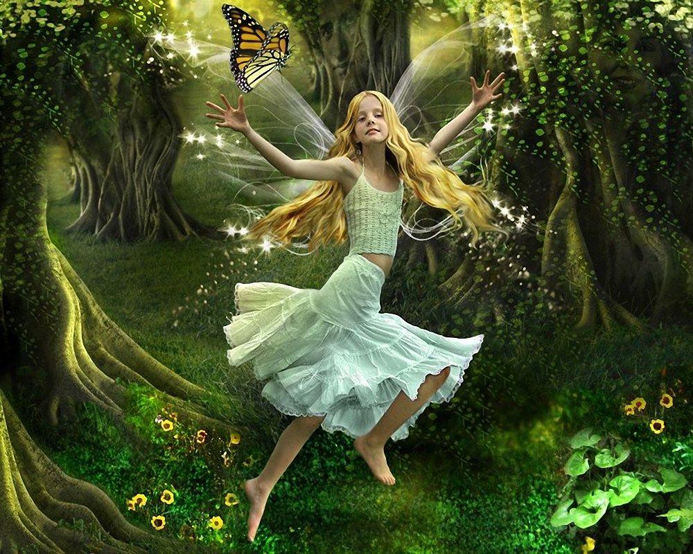 Forest Fairy Wallpapers