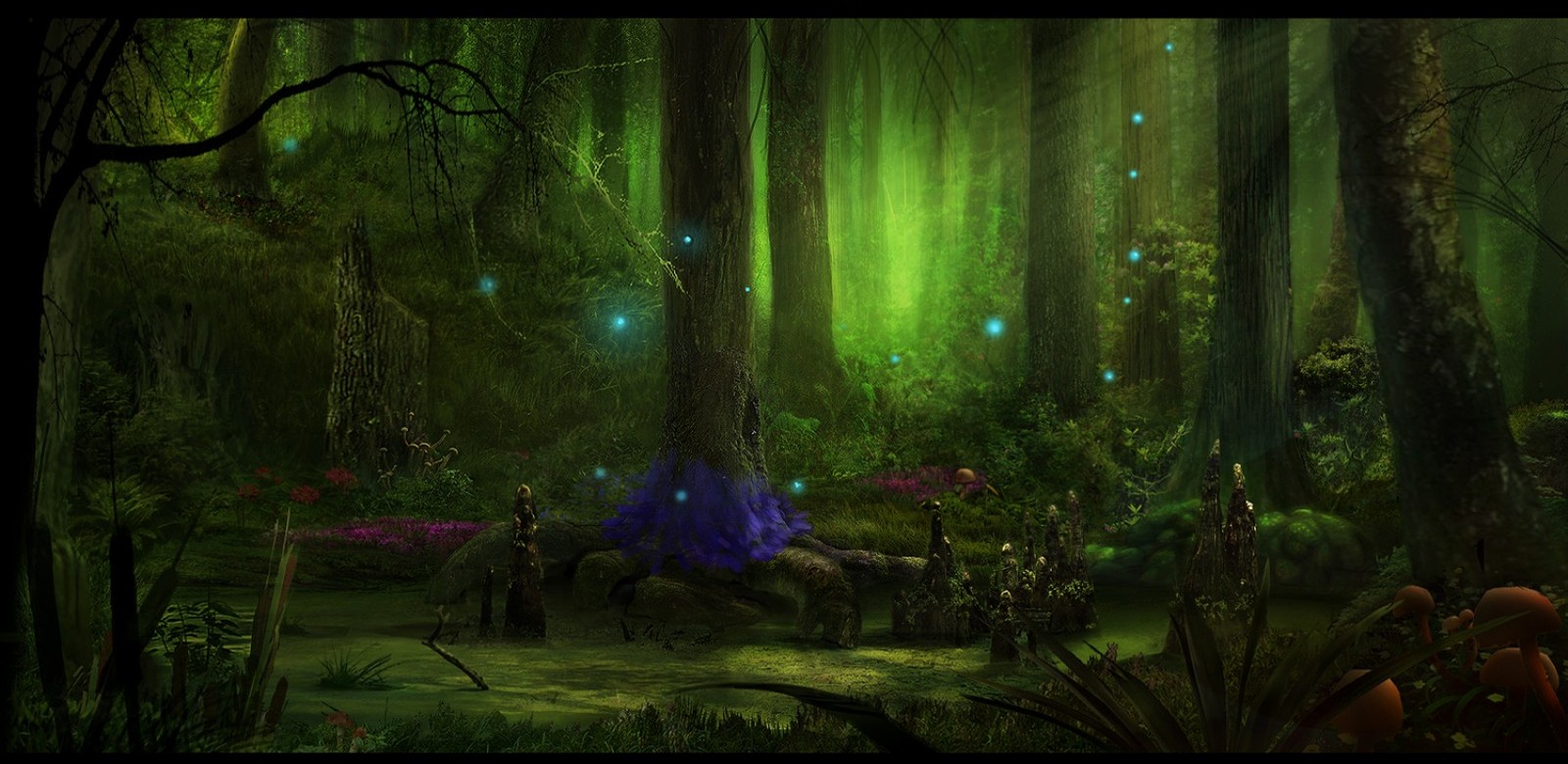 Forest Fairy Wallpapers