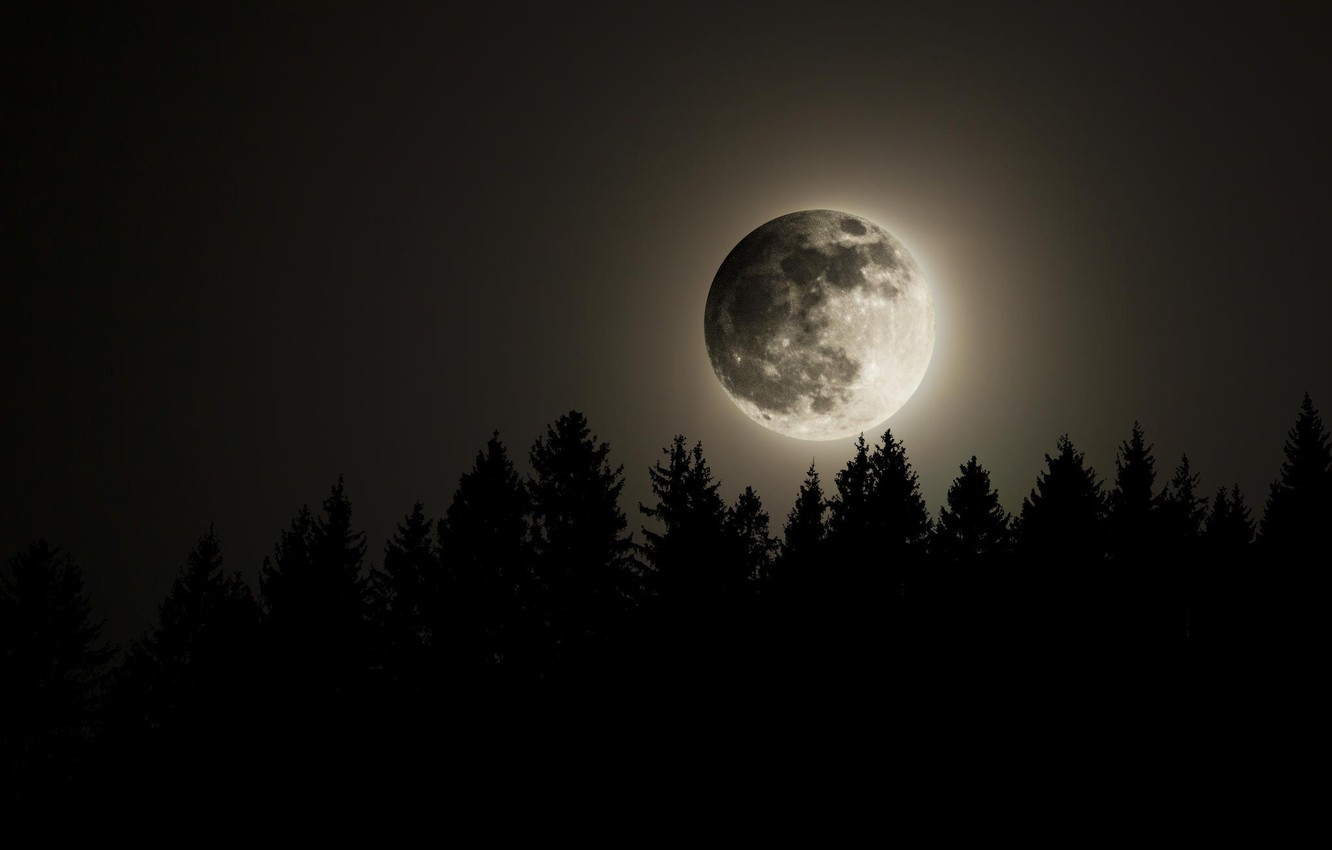 Forest Full Moon Wallpapers