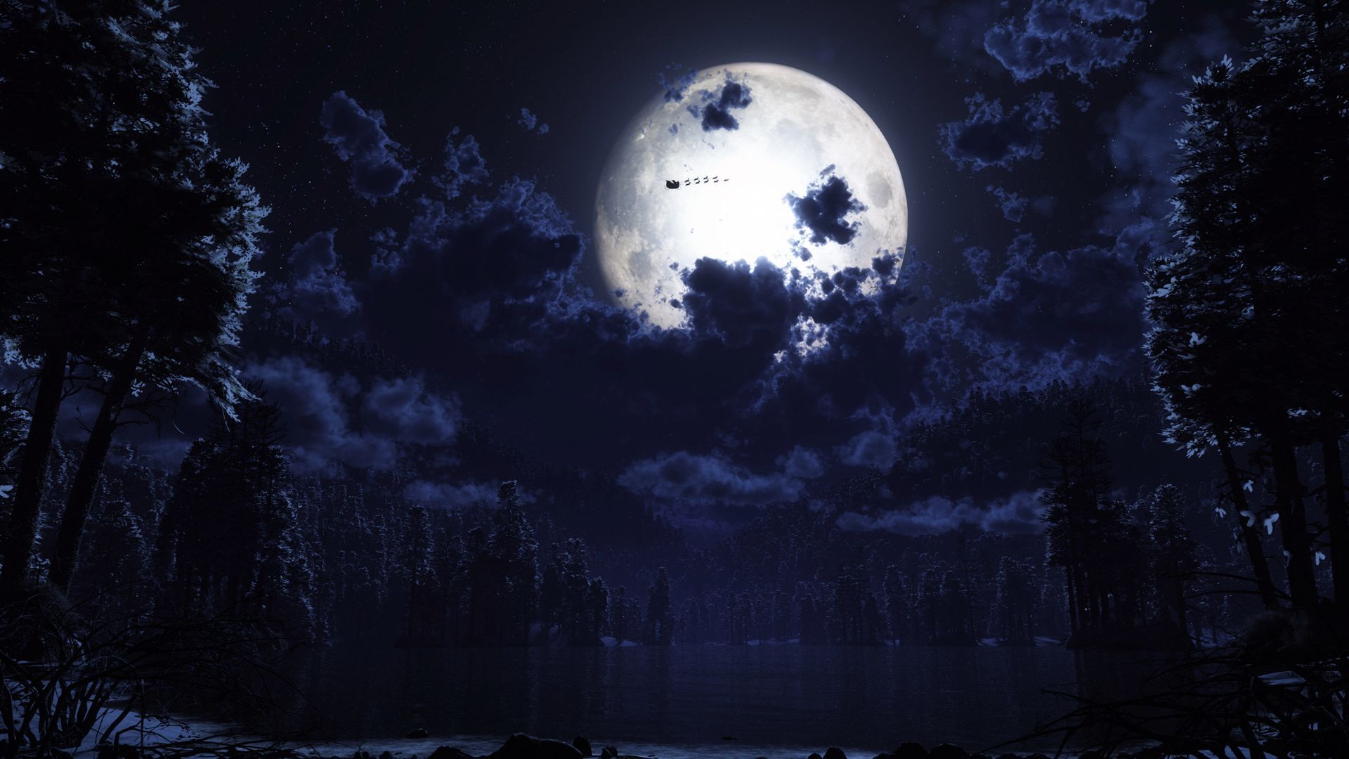 Forest Full Moon Wallpapers