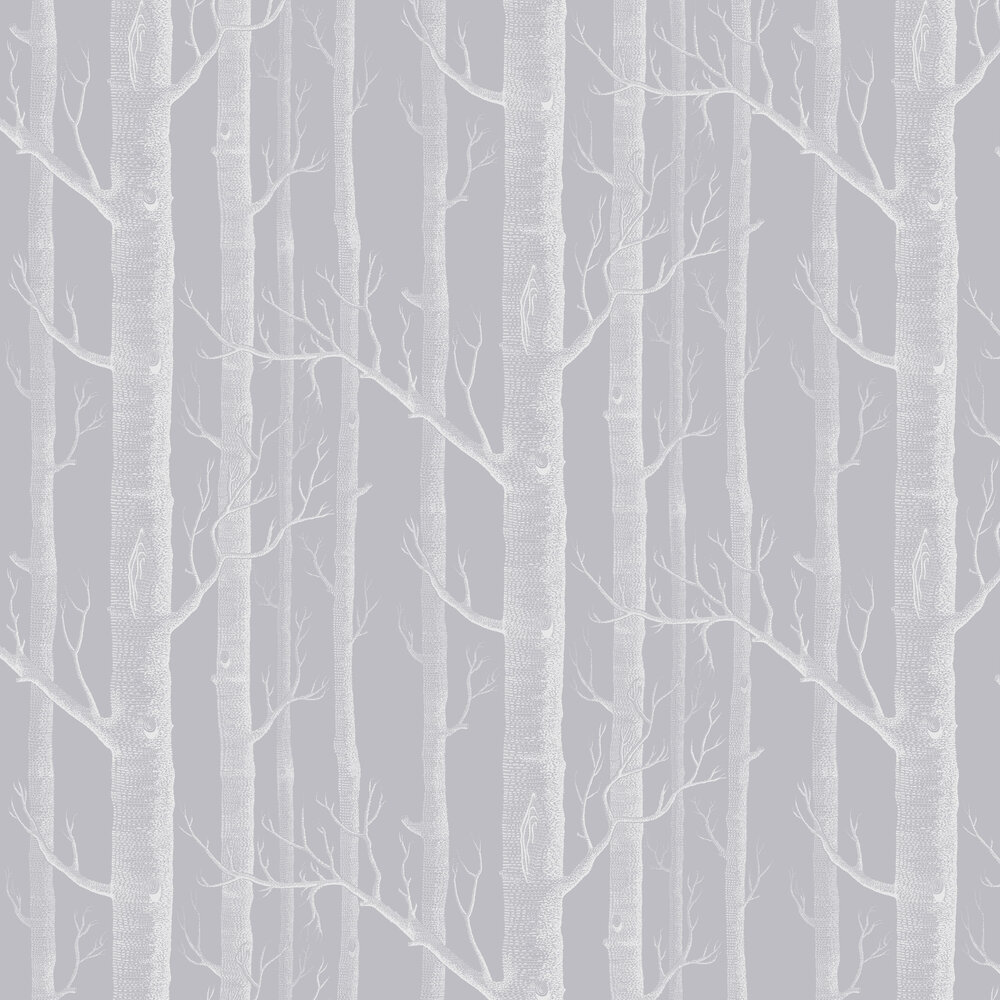 Forest Grey Wallpapers