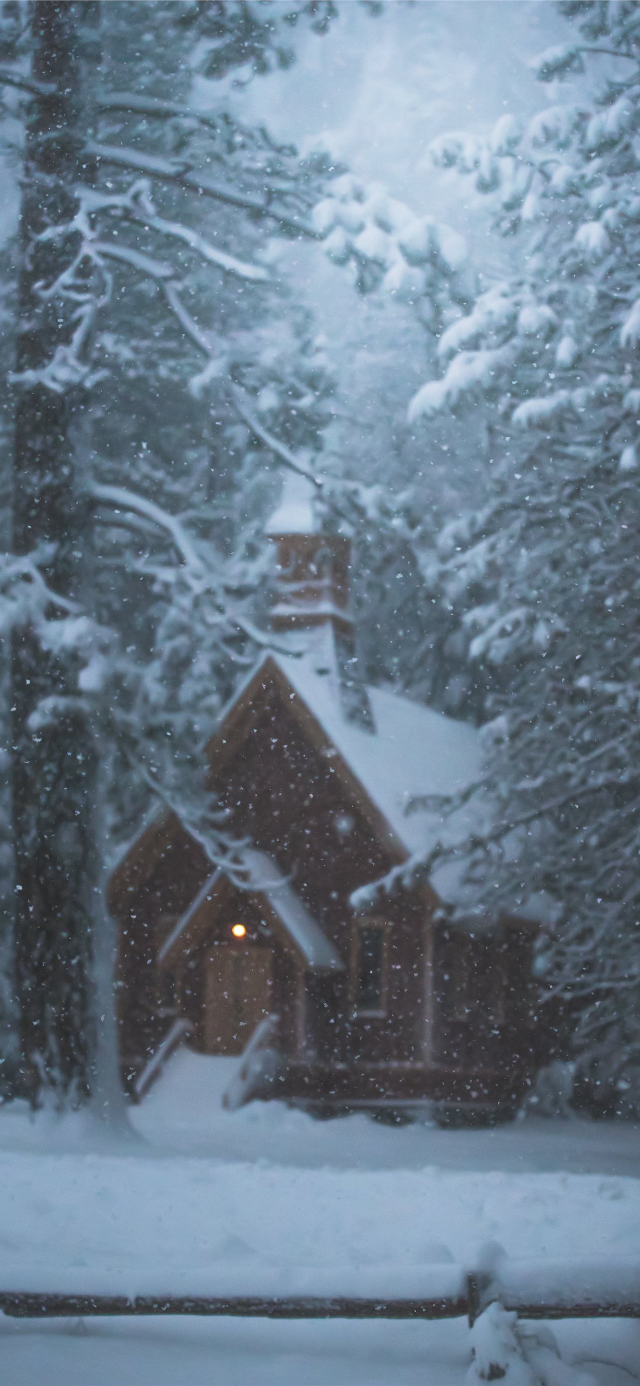 Forest House Covered In Snow 4K Wallpapers