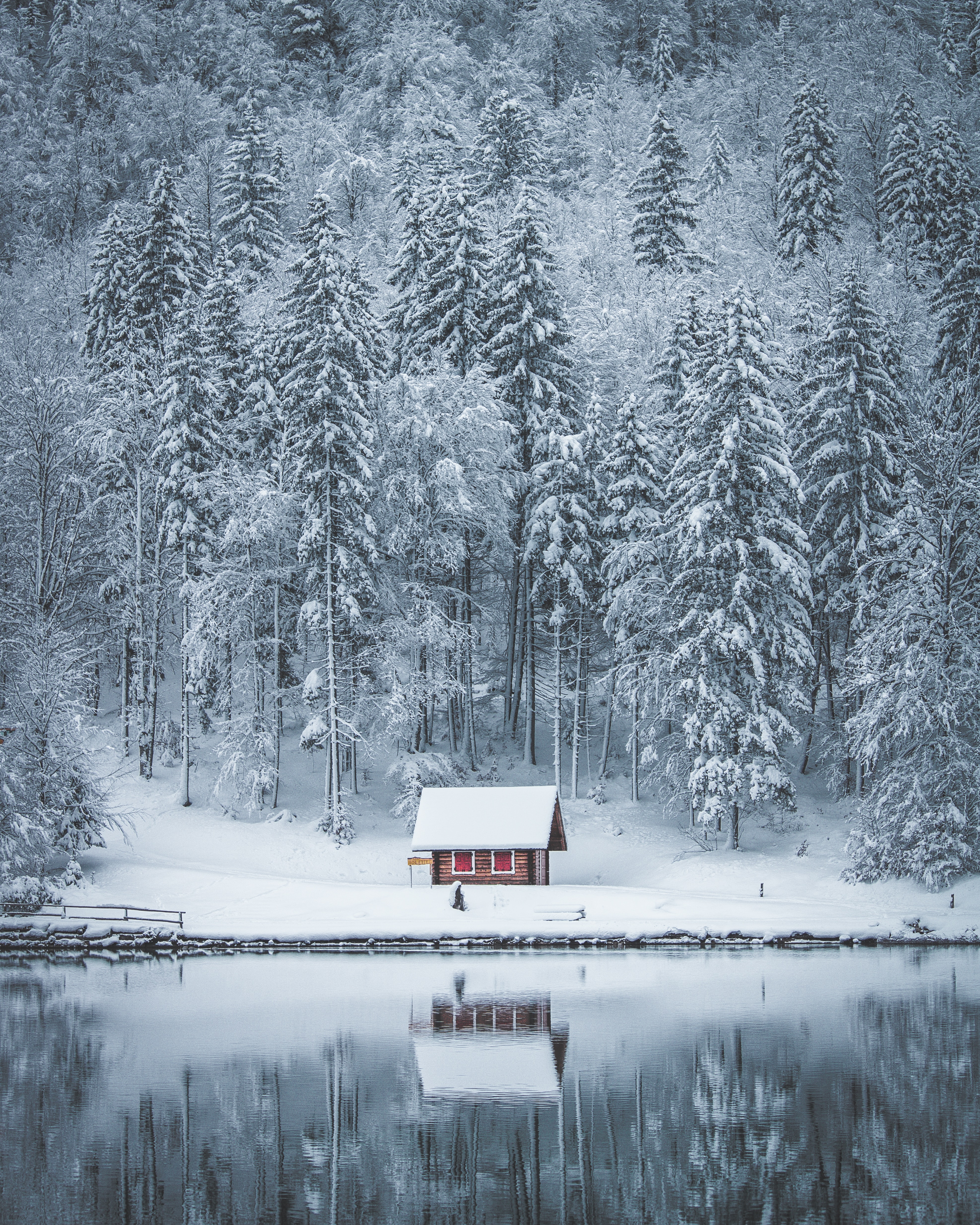 Forest House Covered In Snow 4K Wallpapers