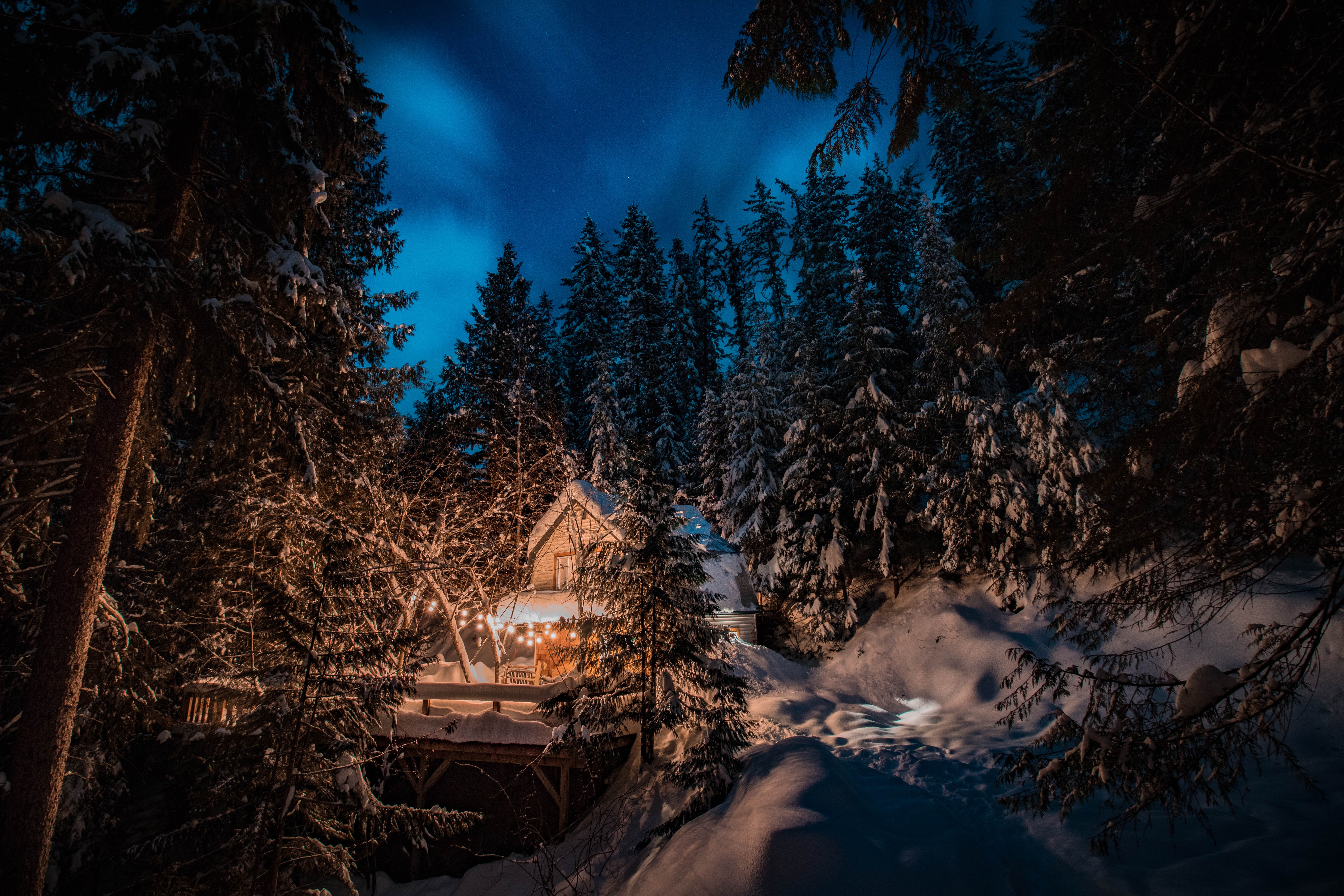 Forest House Covered In Snow 4K Wallpapers