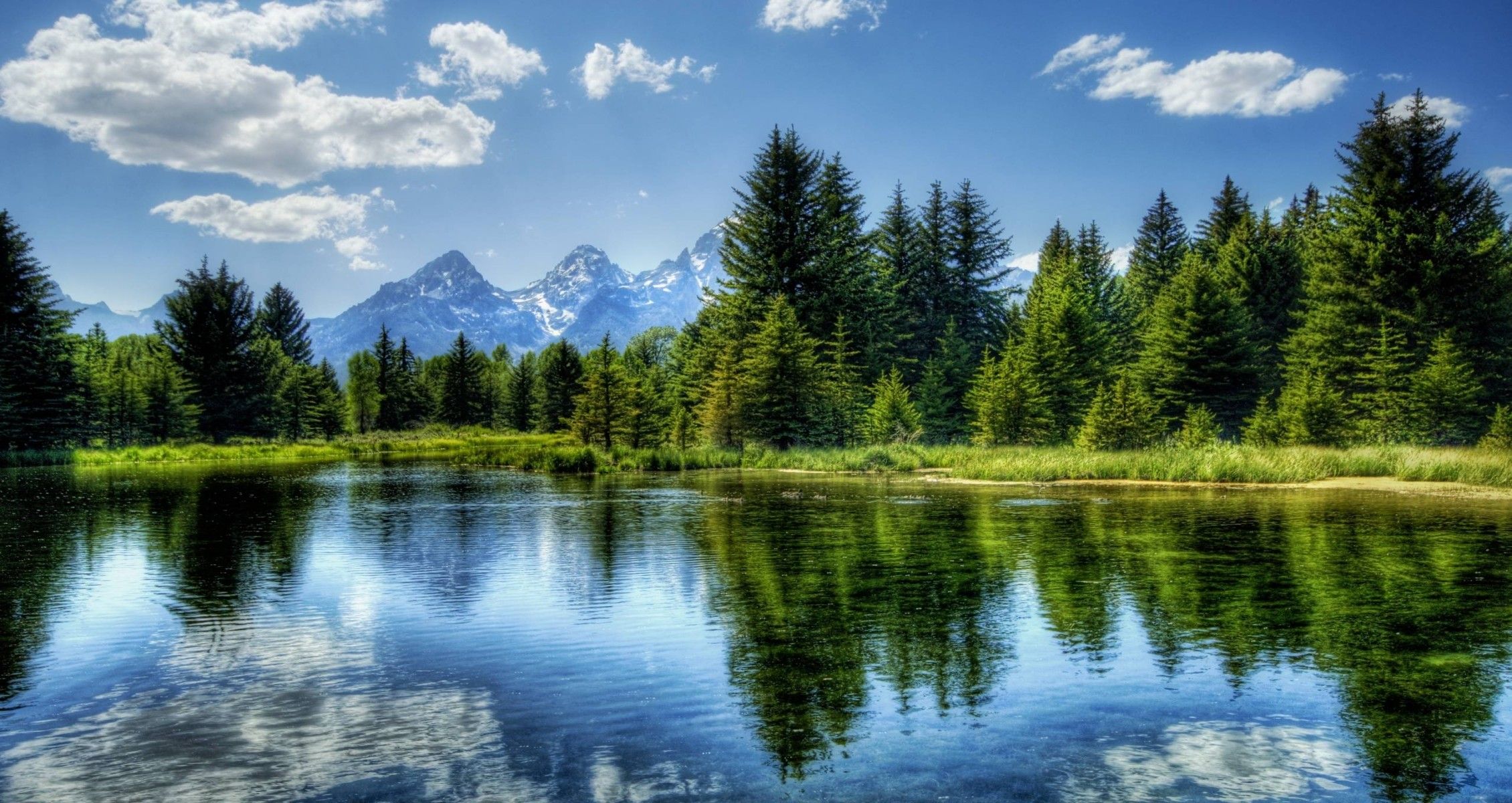 Forest Lake Landscape Wallpapers