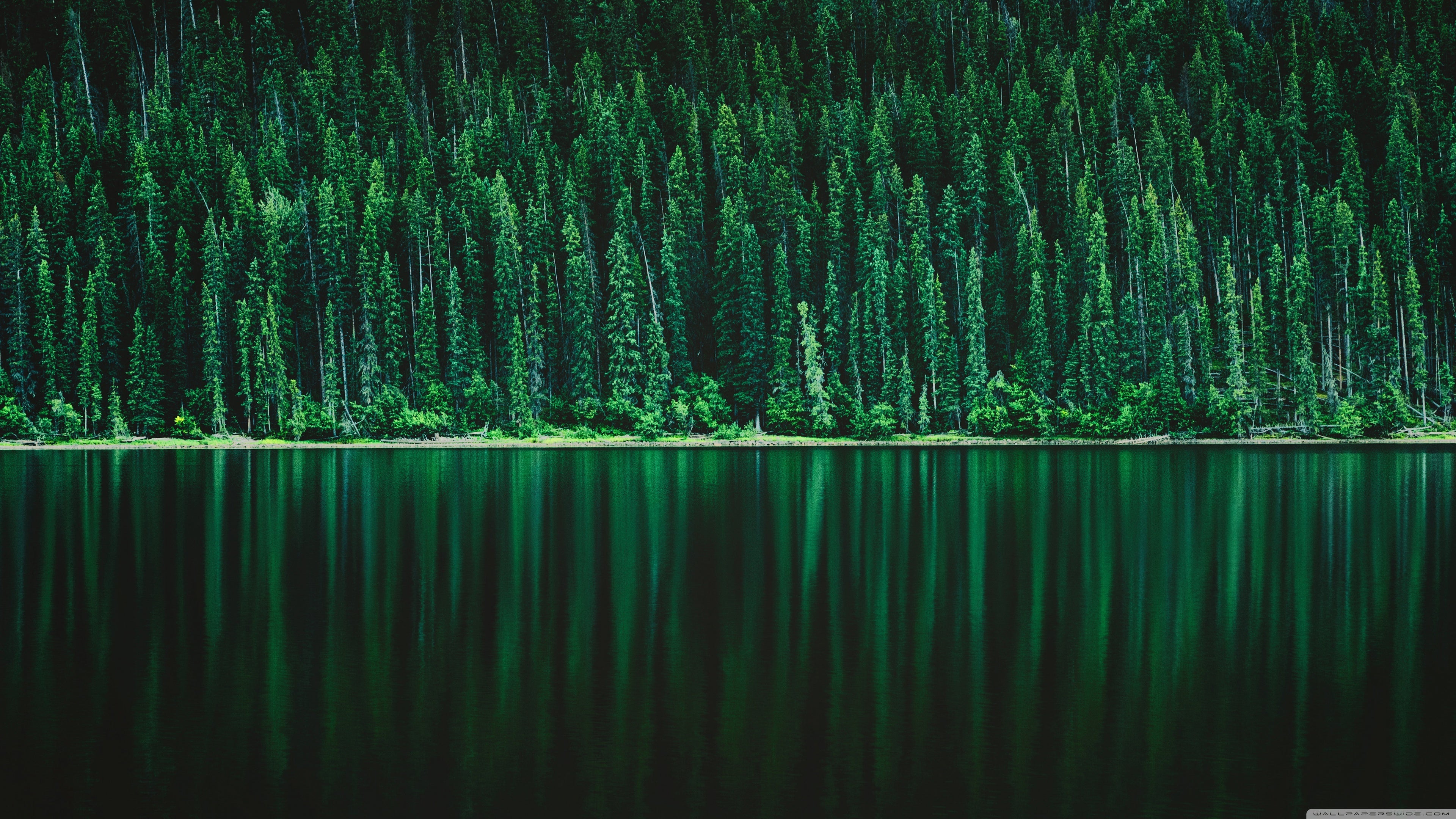 Forest Lake Landscape Wallpapers