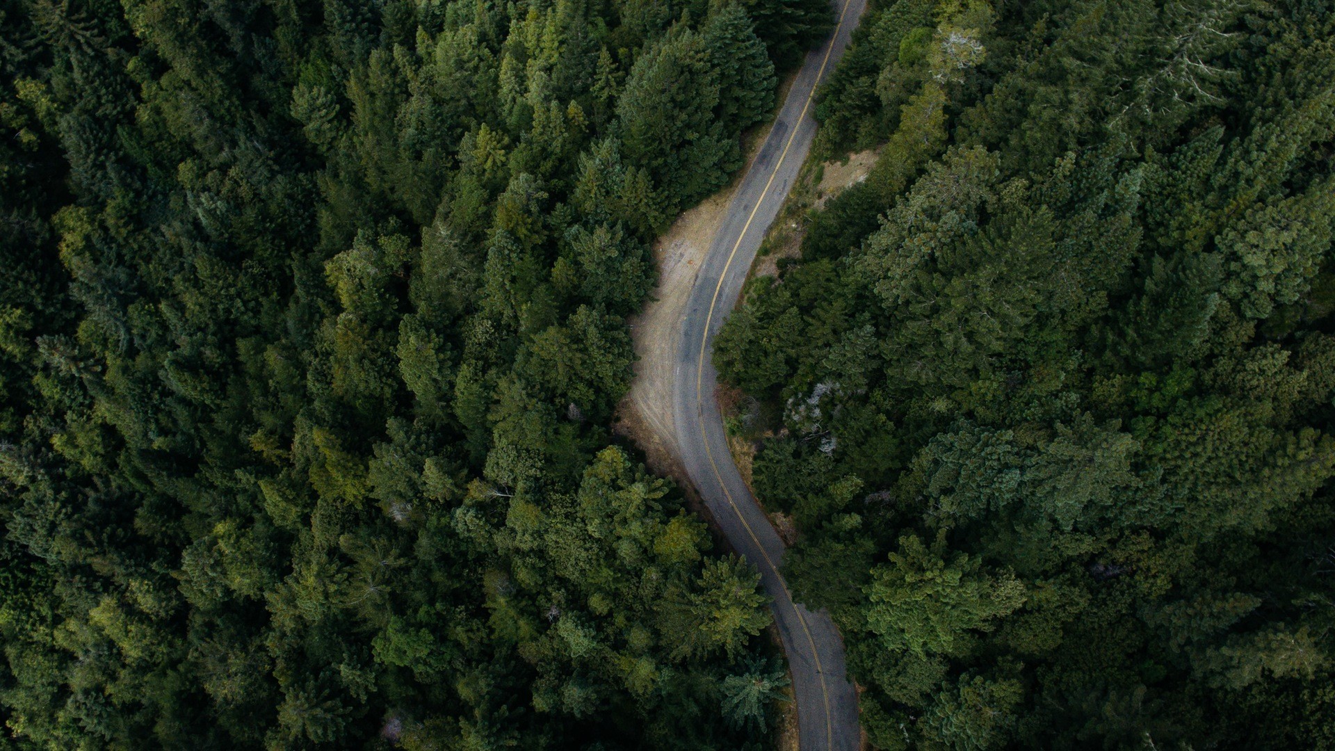 Forest Landscape Hd Aerial View Wallpapers