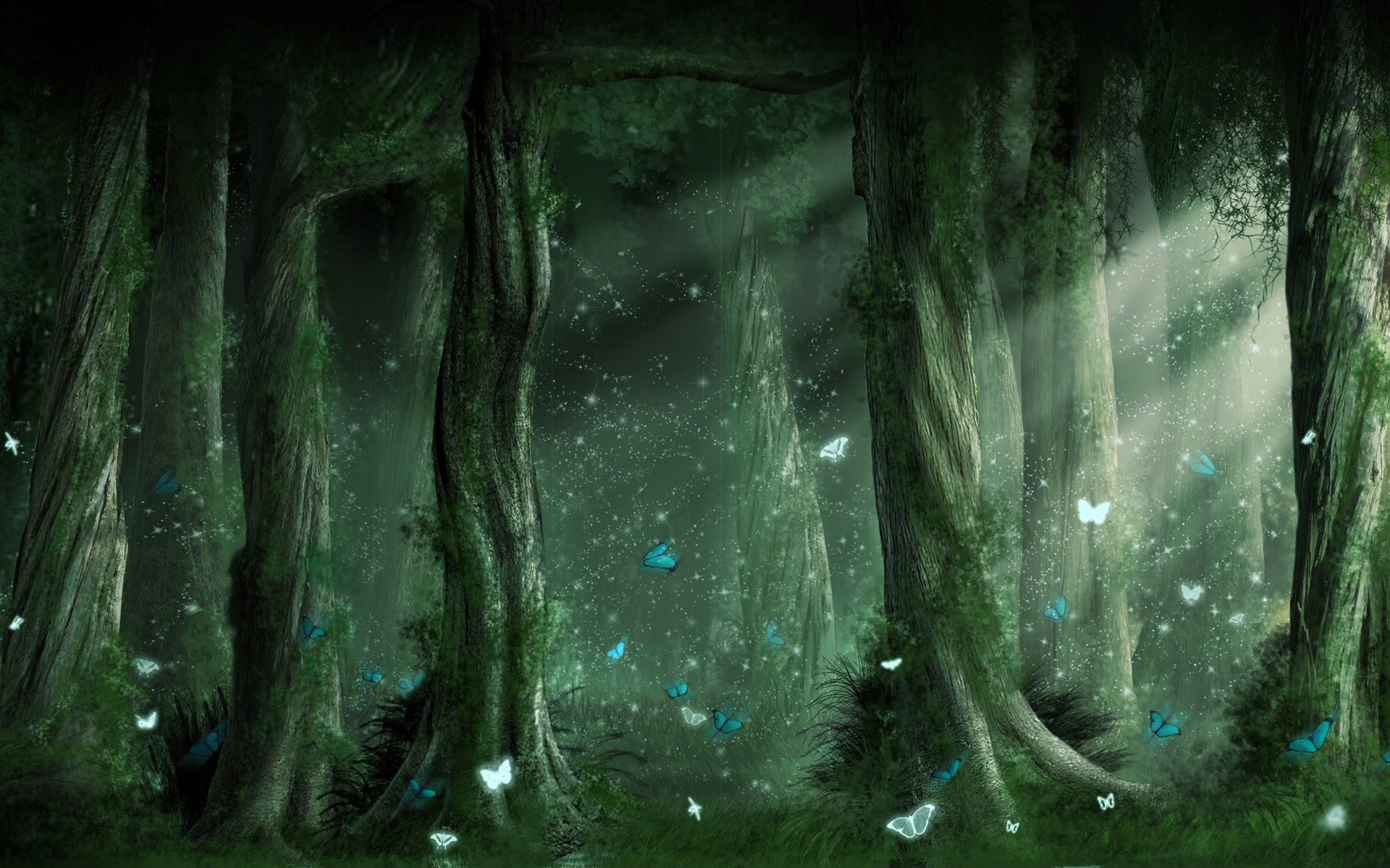 Forest Magic Wallpapers