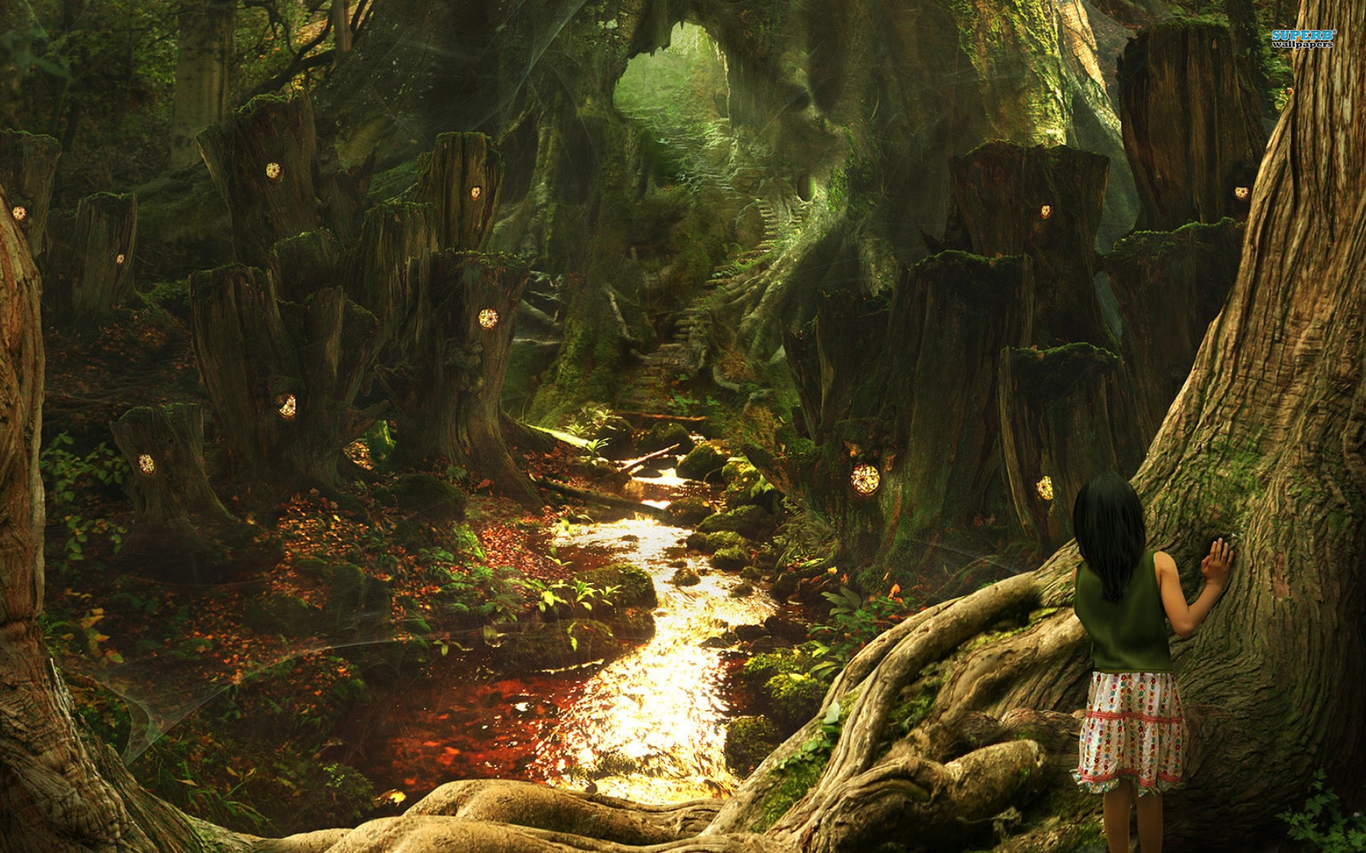 Forest Magic Wallpapers