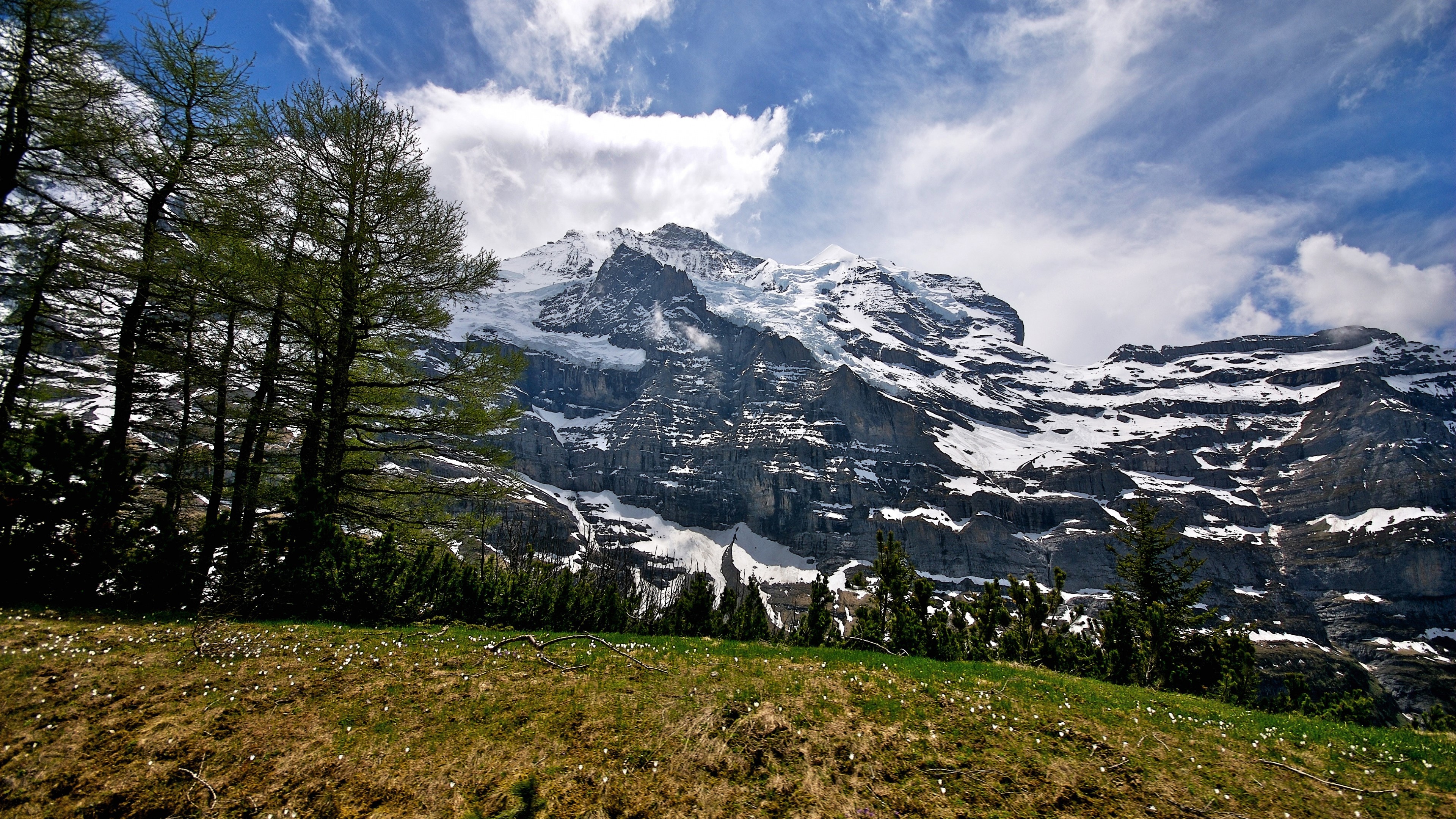 Forest Mountains Wallpapers