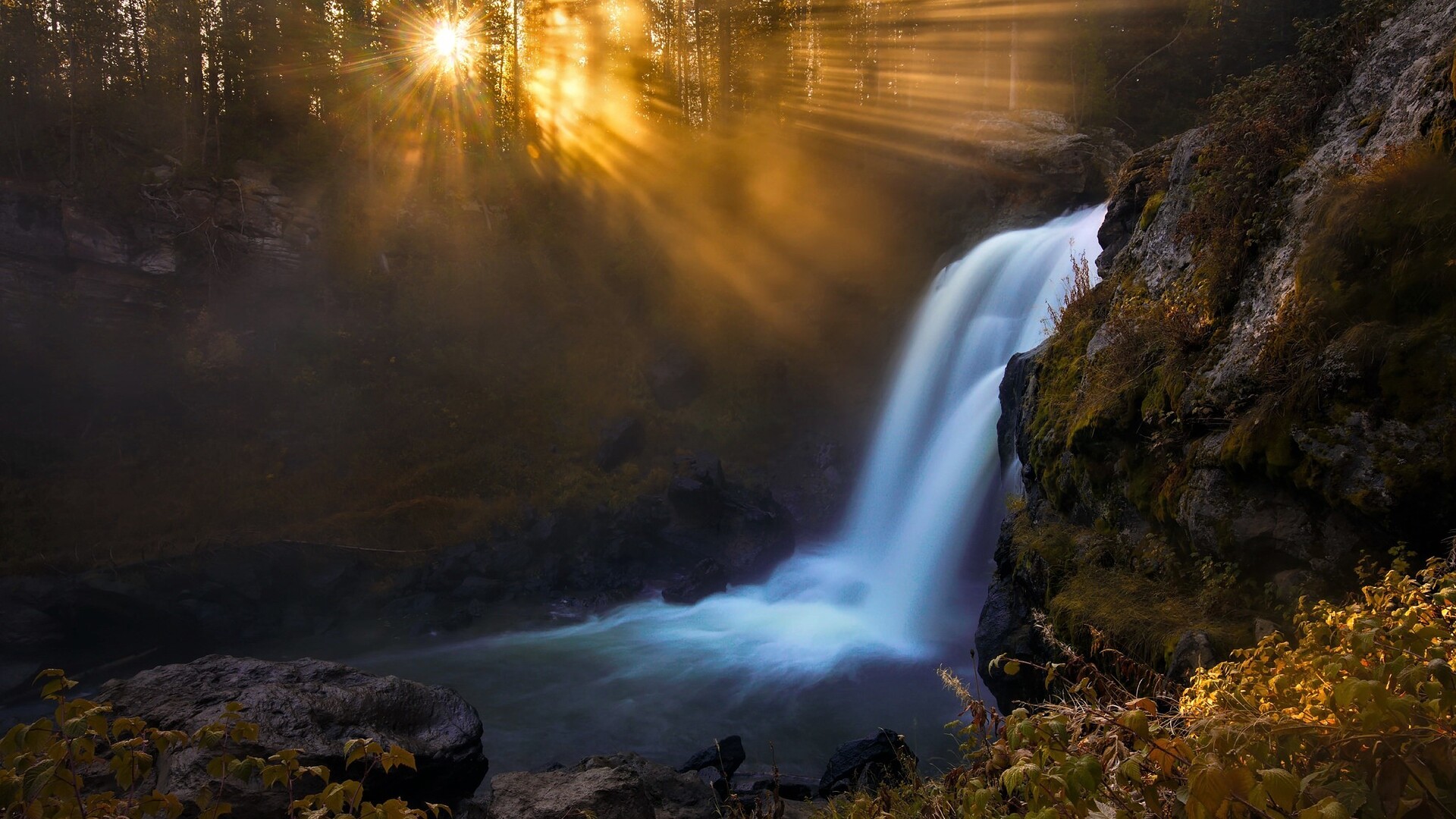 Forest Nature Sunbeam Trees Reflection Wallpapers