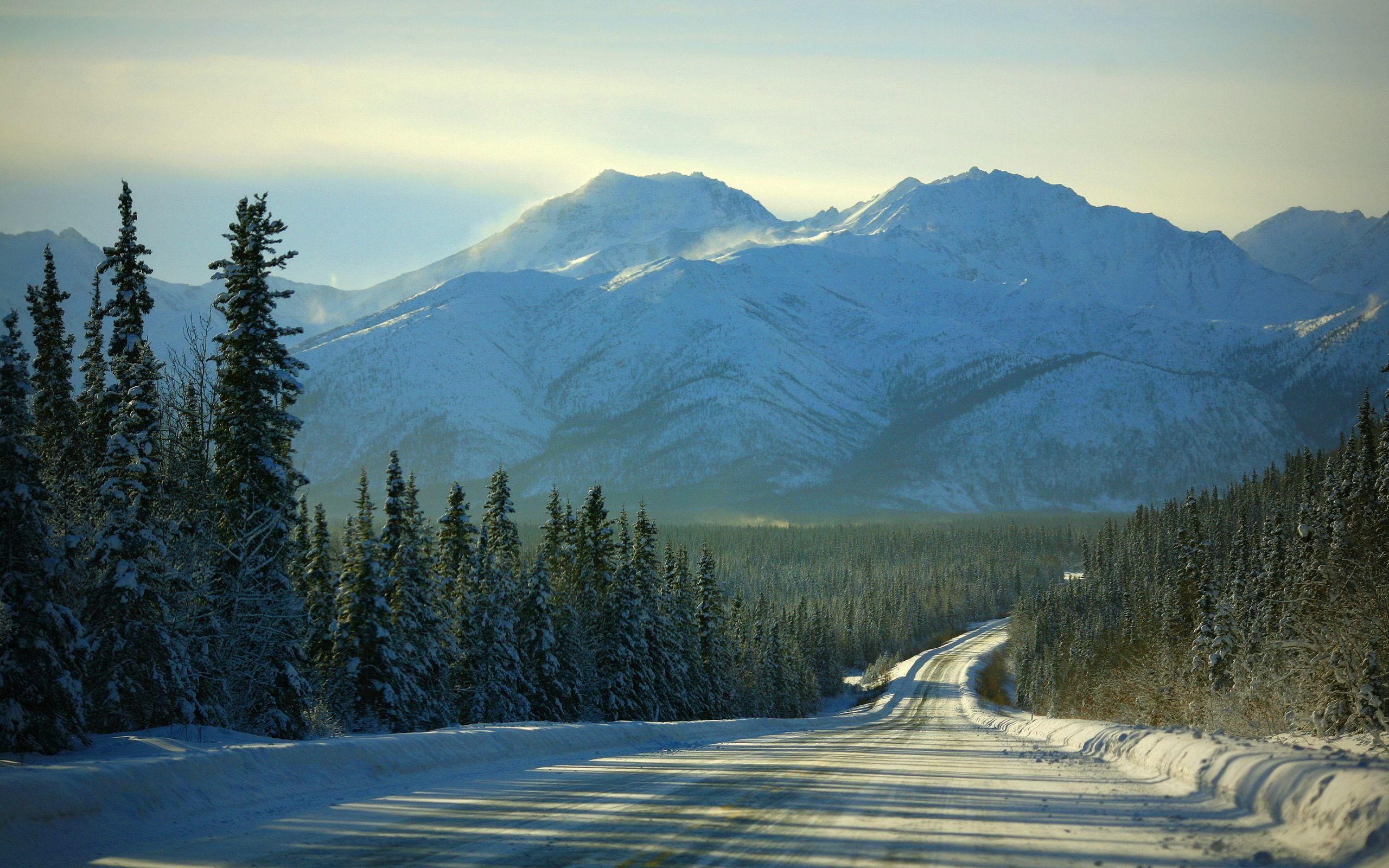 Forest Road In Winter Wallpapers