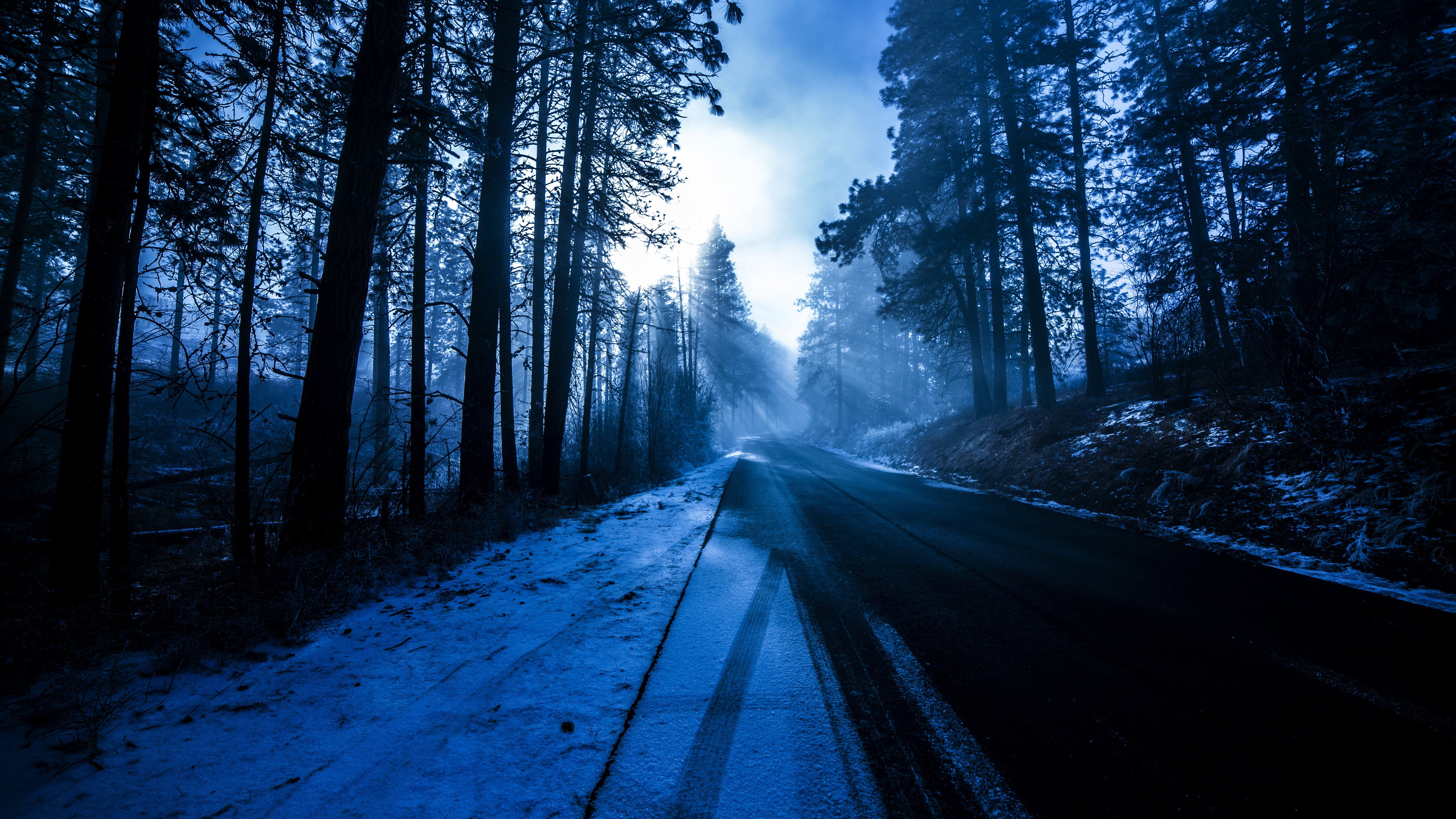 Forest Road In Winter Wallpapers