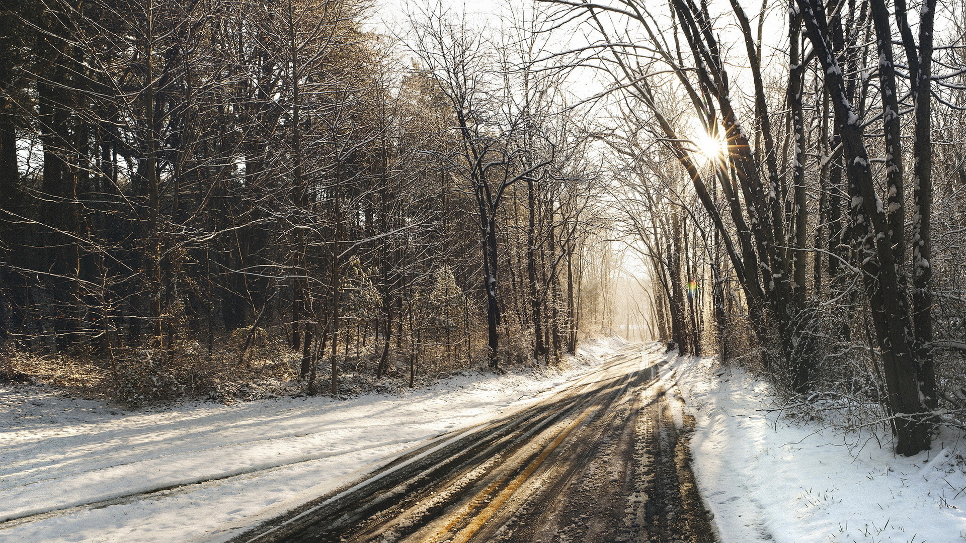 Forest Road In Winter Wallpapers