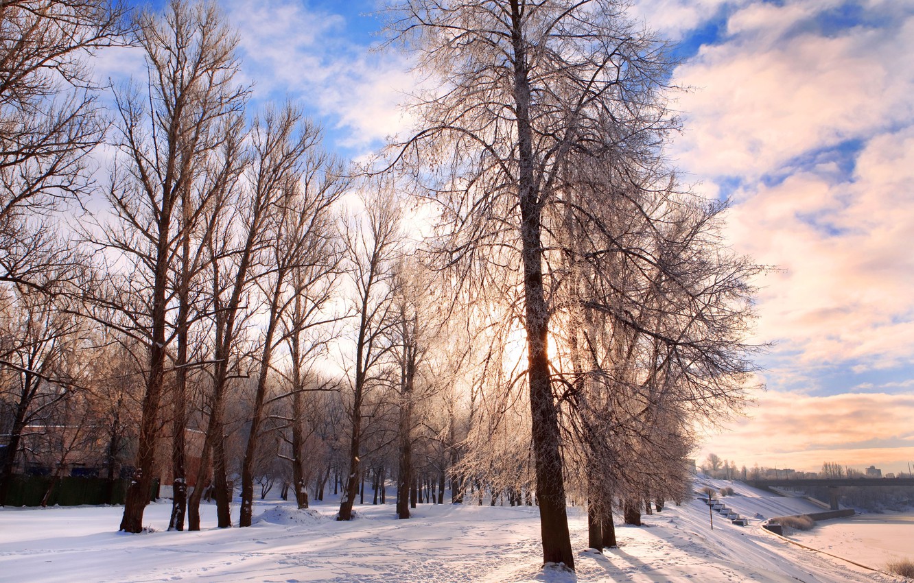 Forest Road In Winter Wallpapers