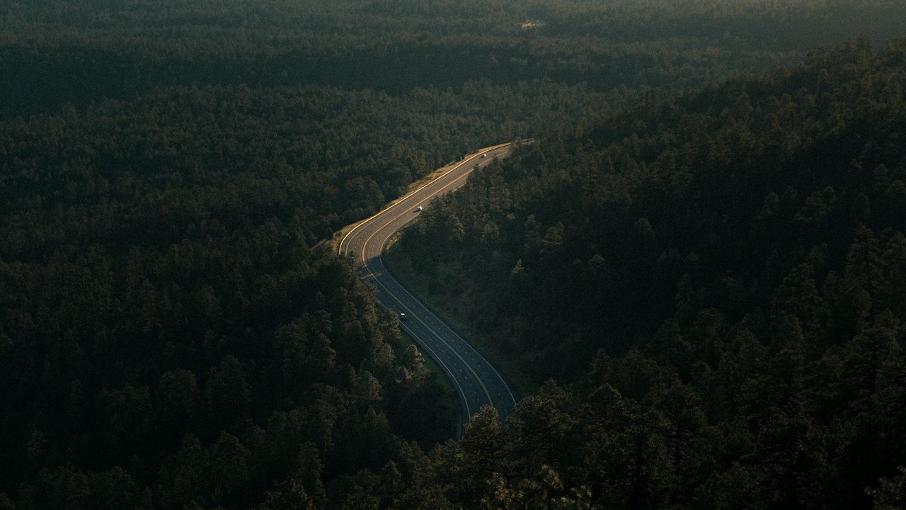 Forest Road Photography Aerial 4K Wallpapers