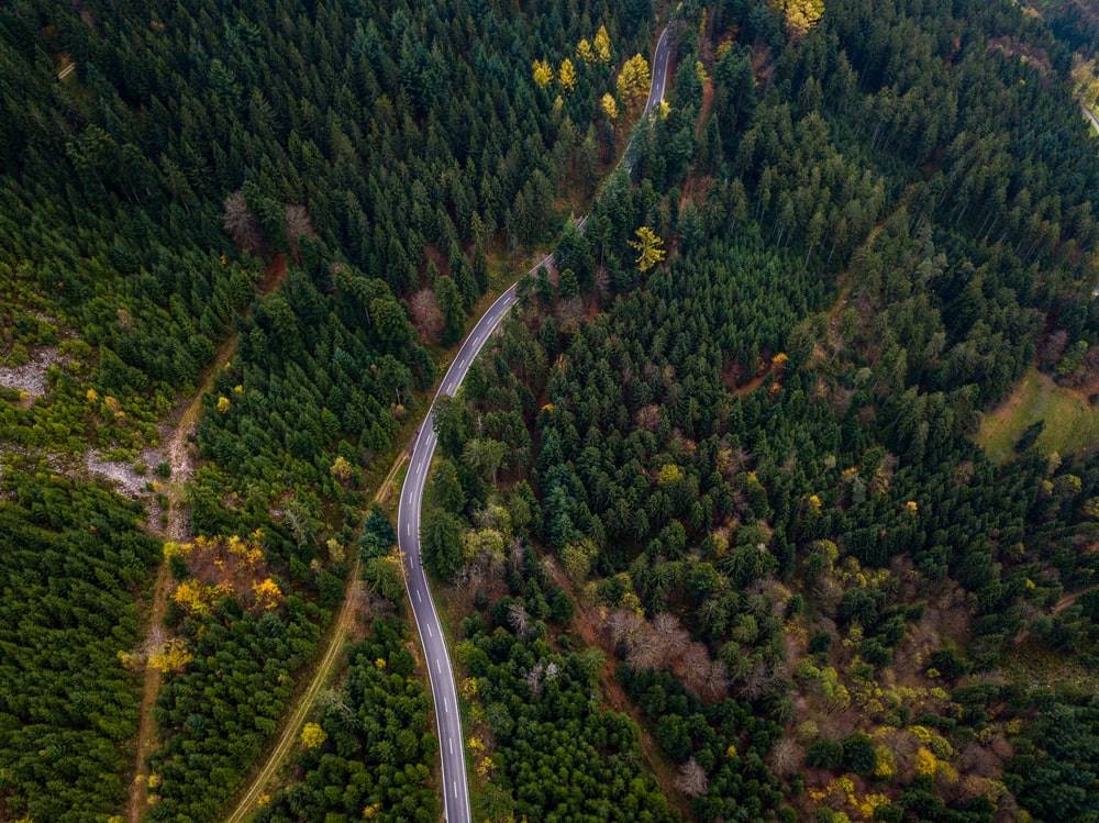 Forest Road Photography Aerial 4K Wallpapers