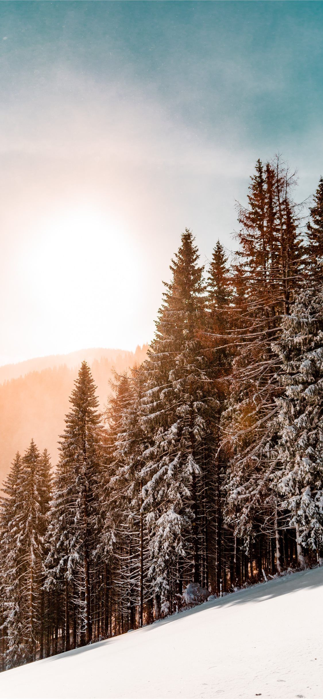 Forest Snowy Winter Mountains Wallpapers