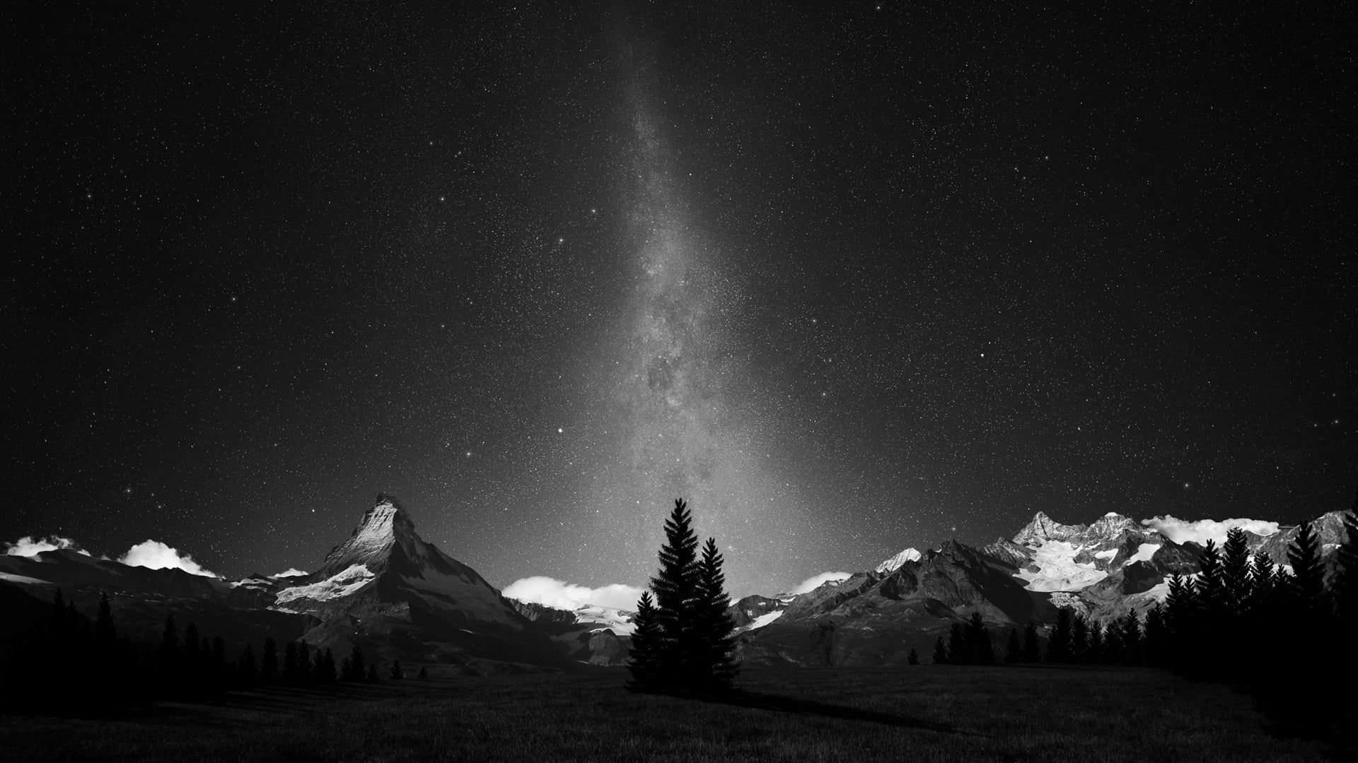 Forest Starry Night Monochrome Wallpapers