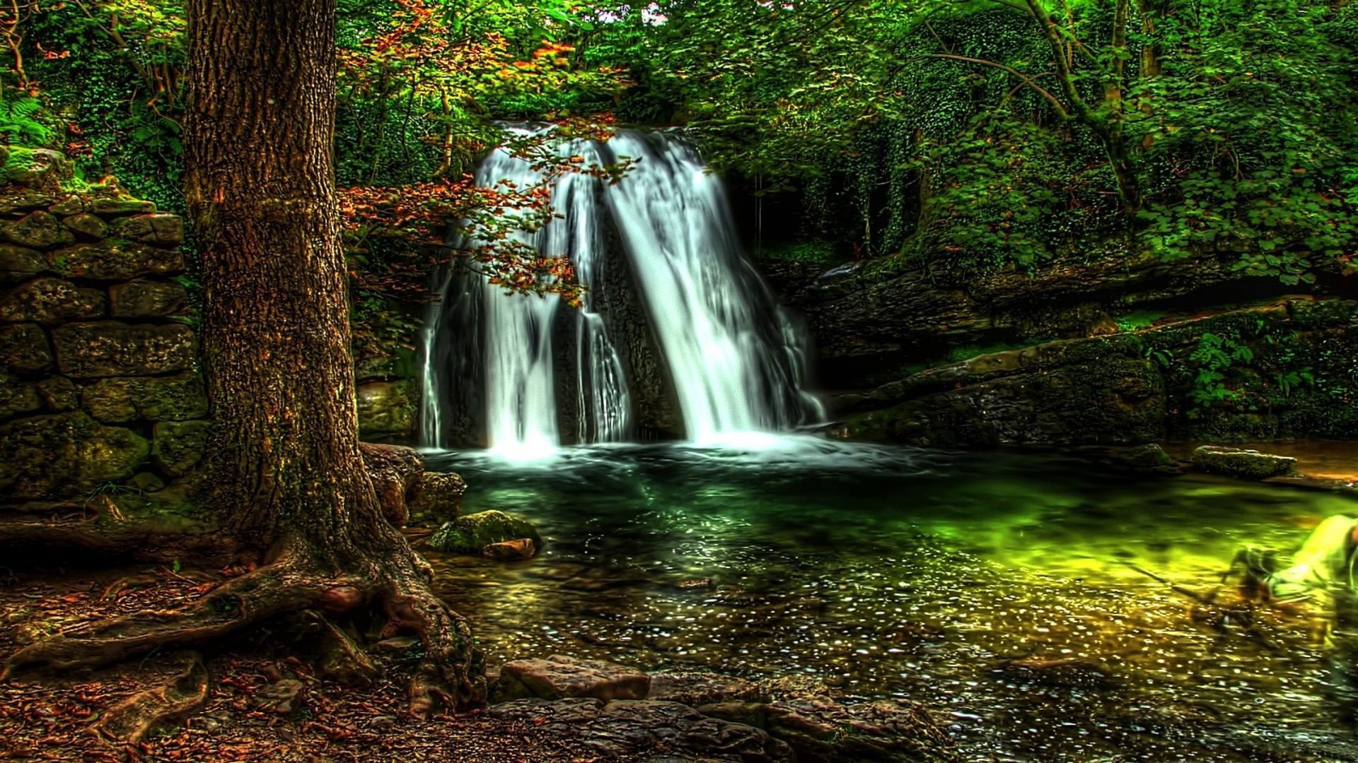 Forest Waterfall Background