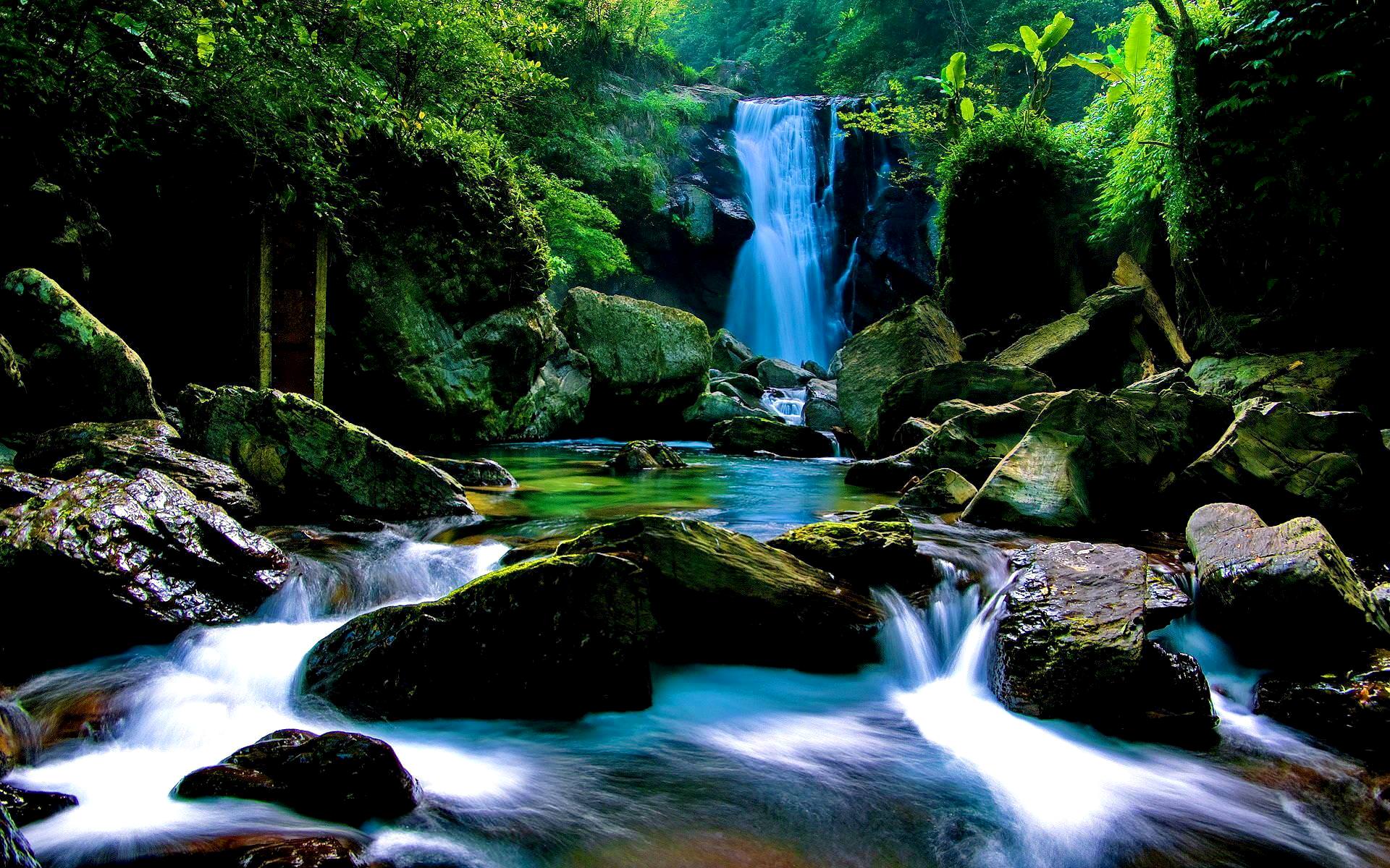 Forest Waterfalls Wallpapers