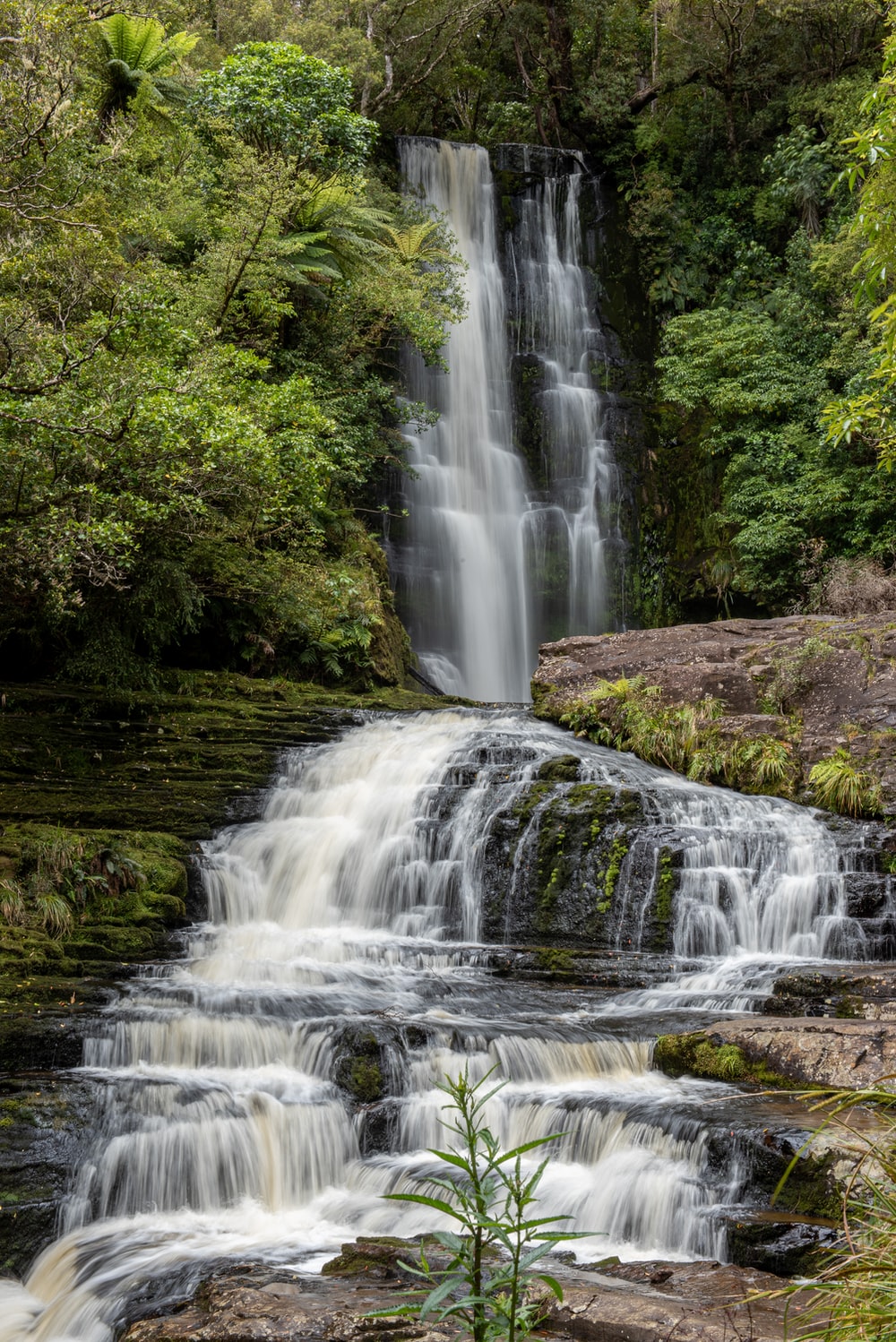 Forest Waterfalls Wallpapers