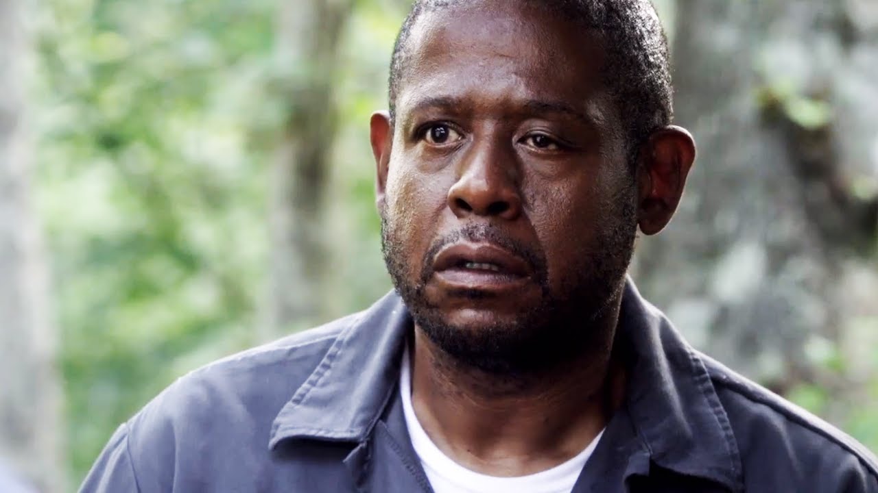 Forest Whitaker Wallpapers