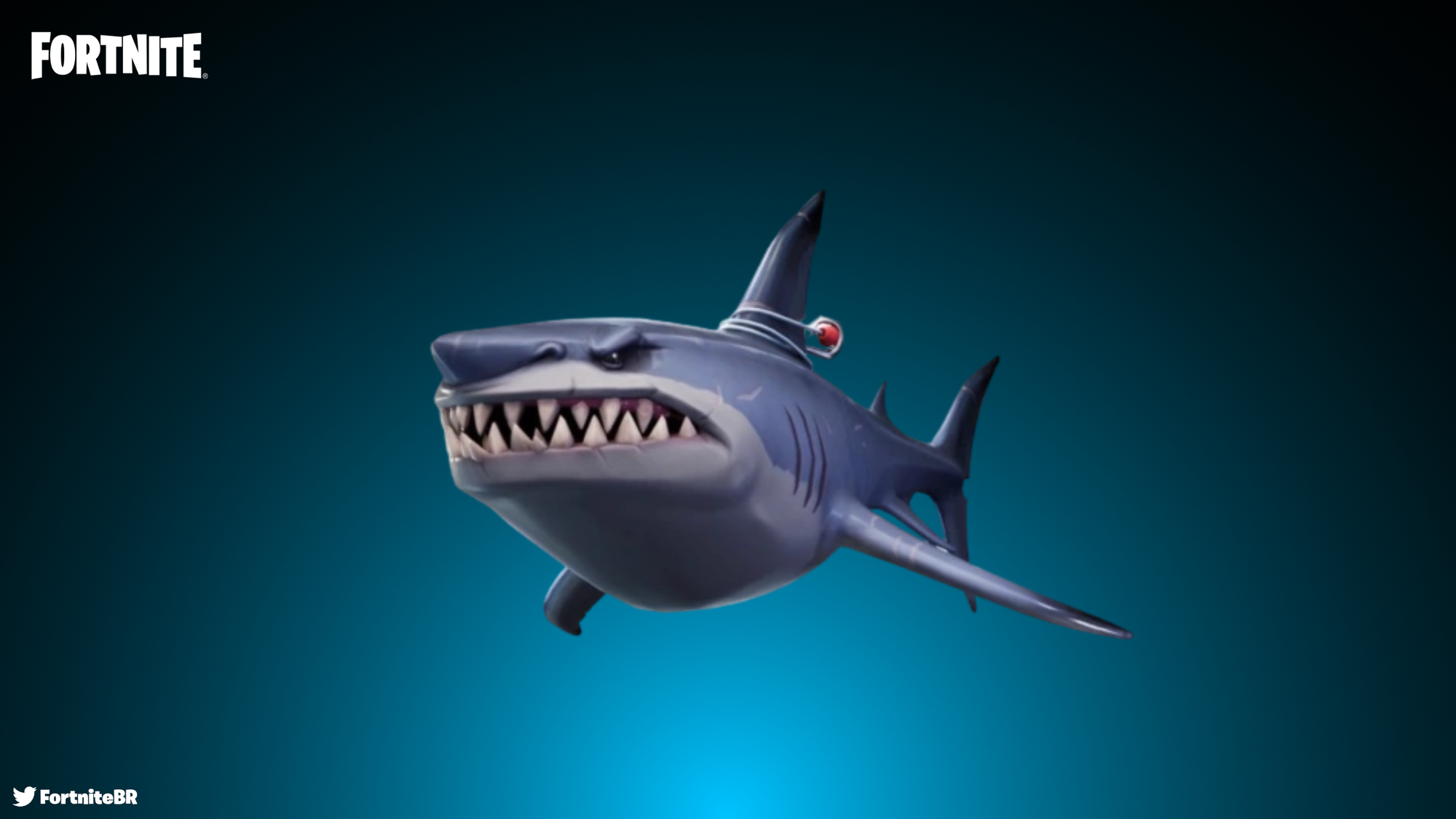 Fortnite Shark Png Wallpapers