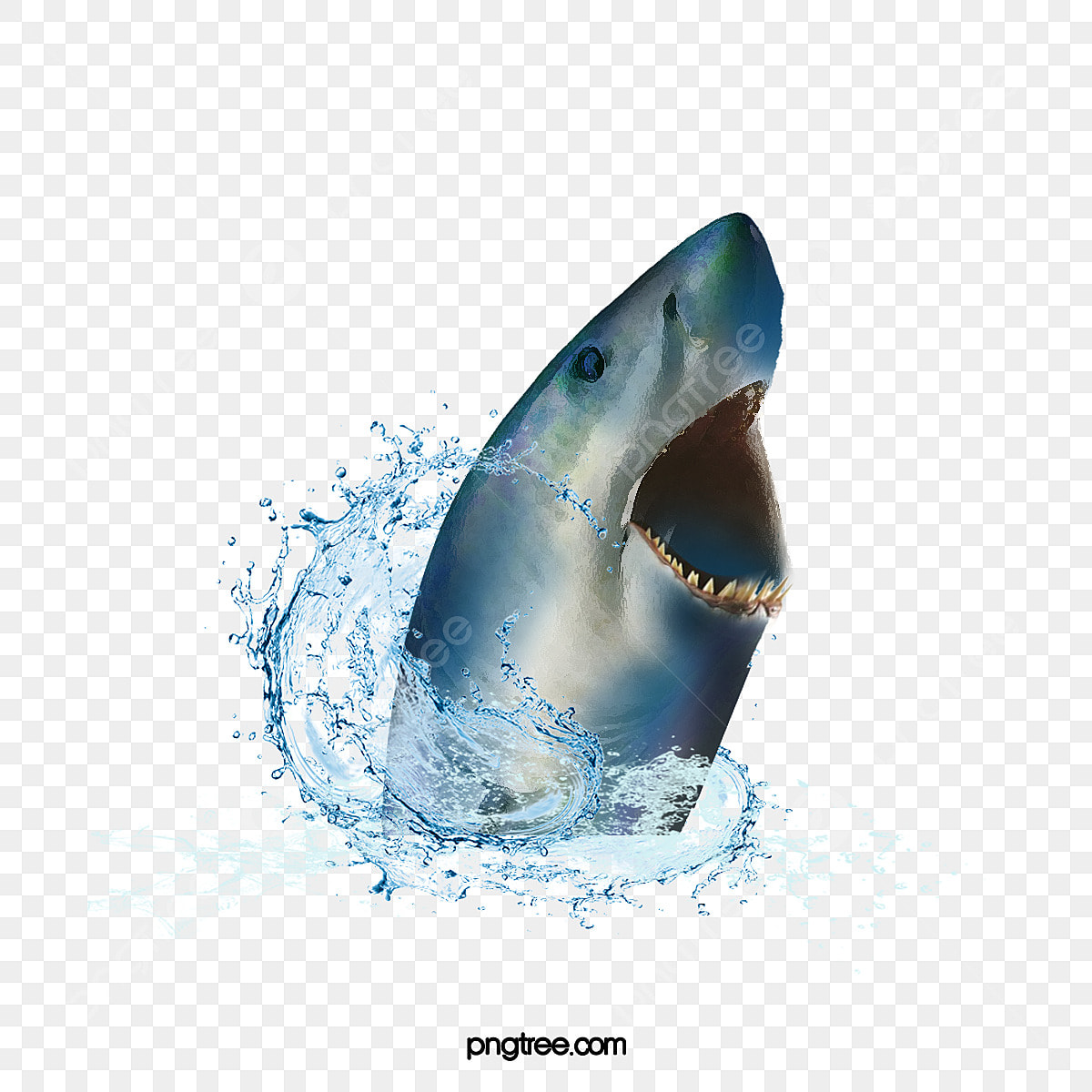 Fortnite Shark Png Wallpapers