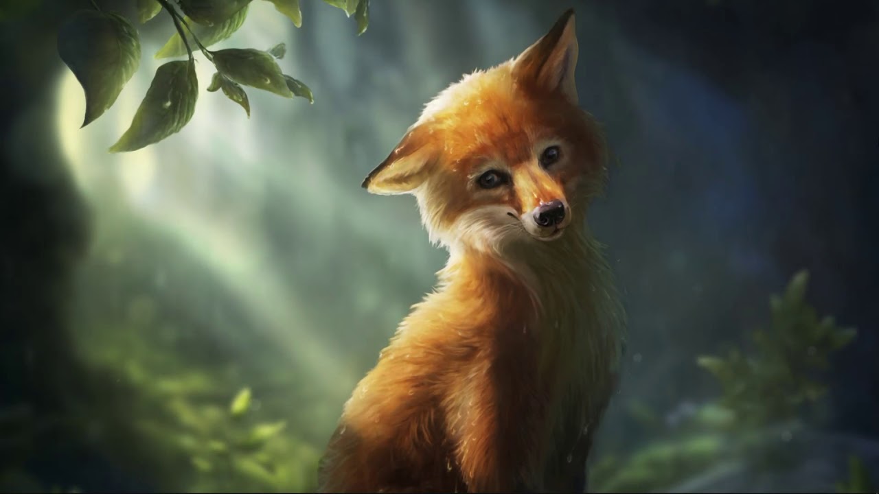 Fox Wallpapers