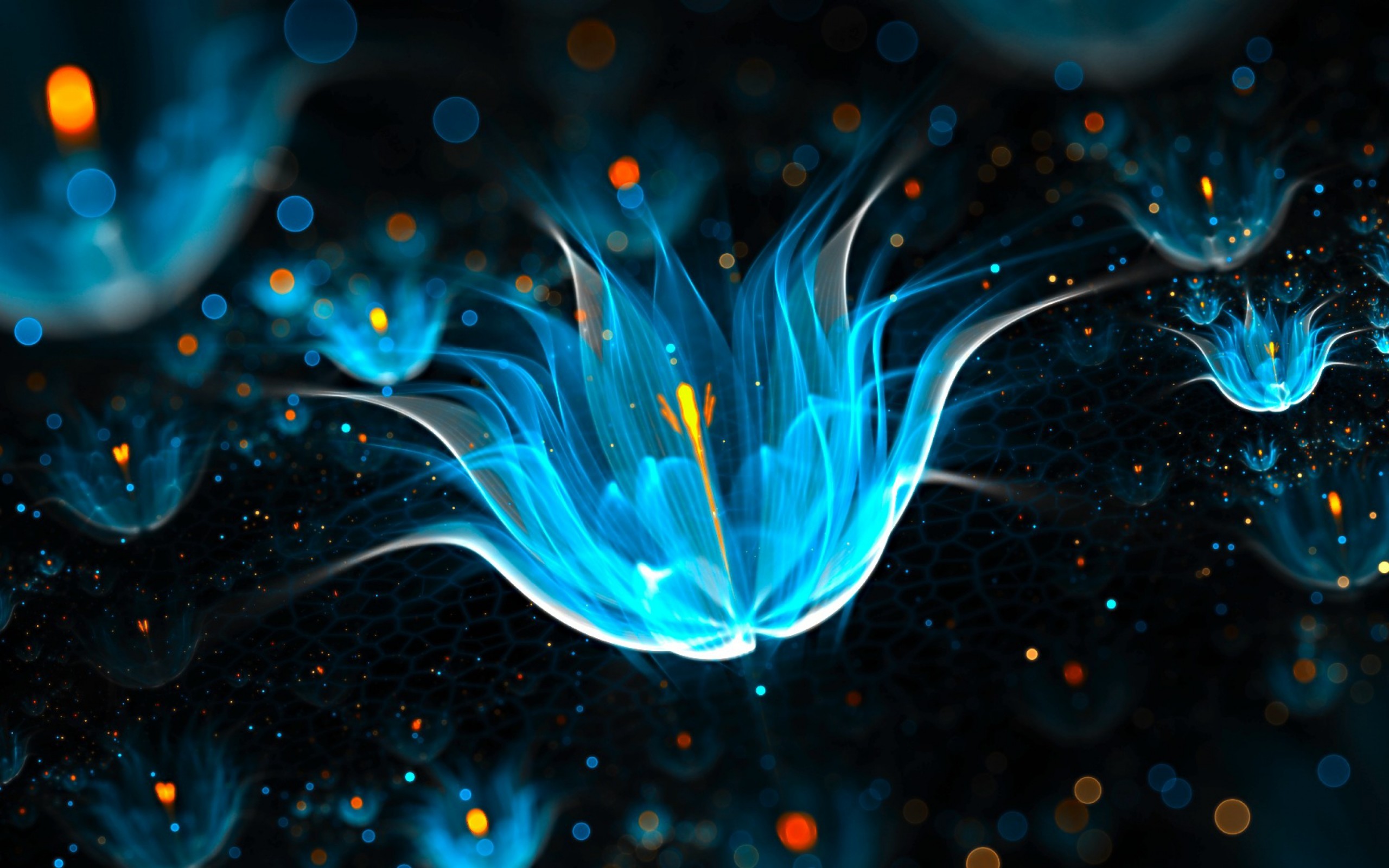 Fractal Art Wallpapers