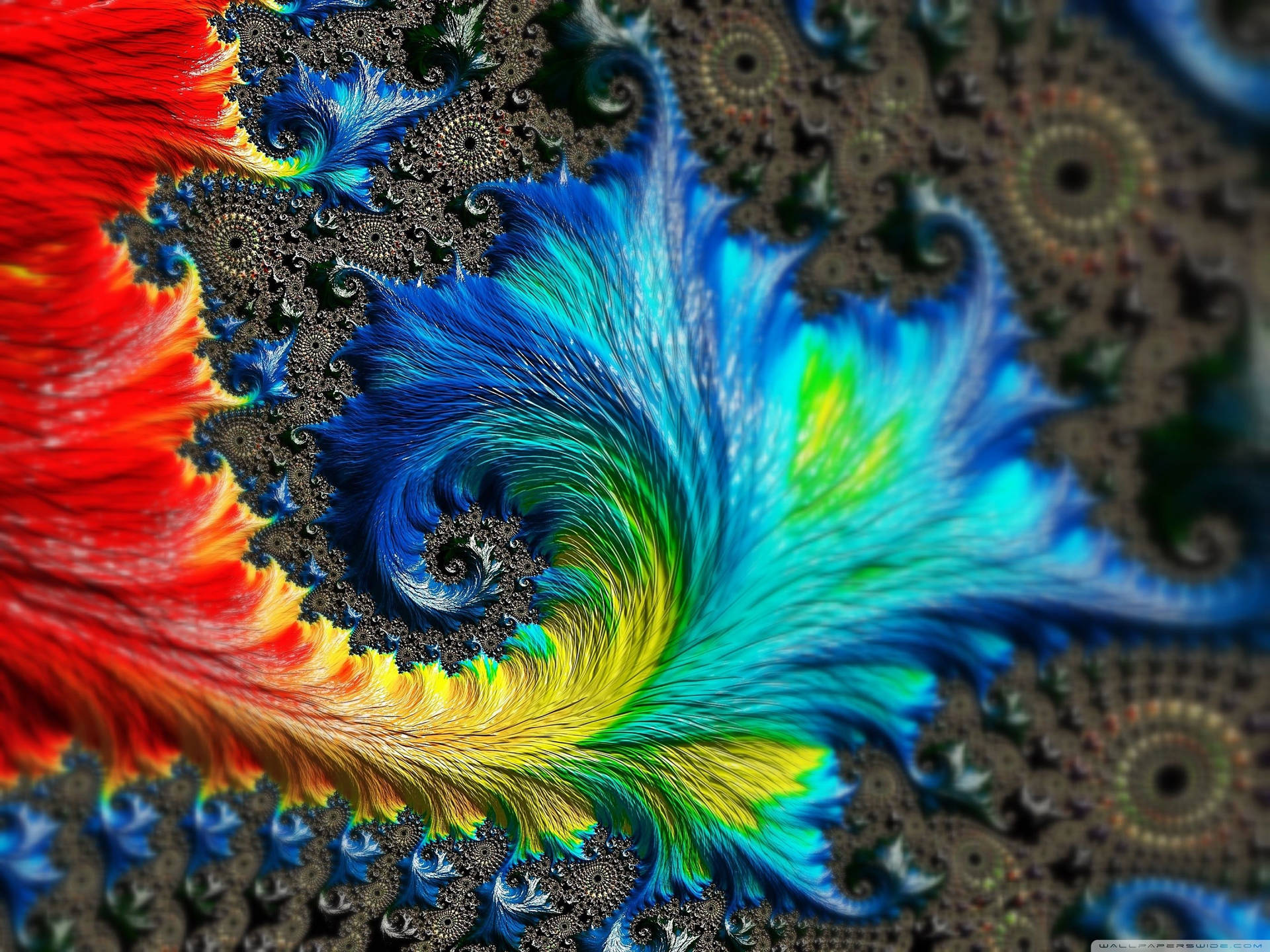 Fractal Desktop Wallpapers