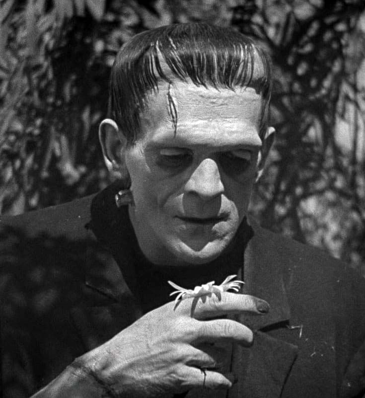 Frankenstein (1931) Wallpapers