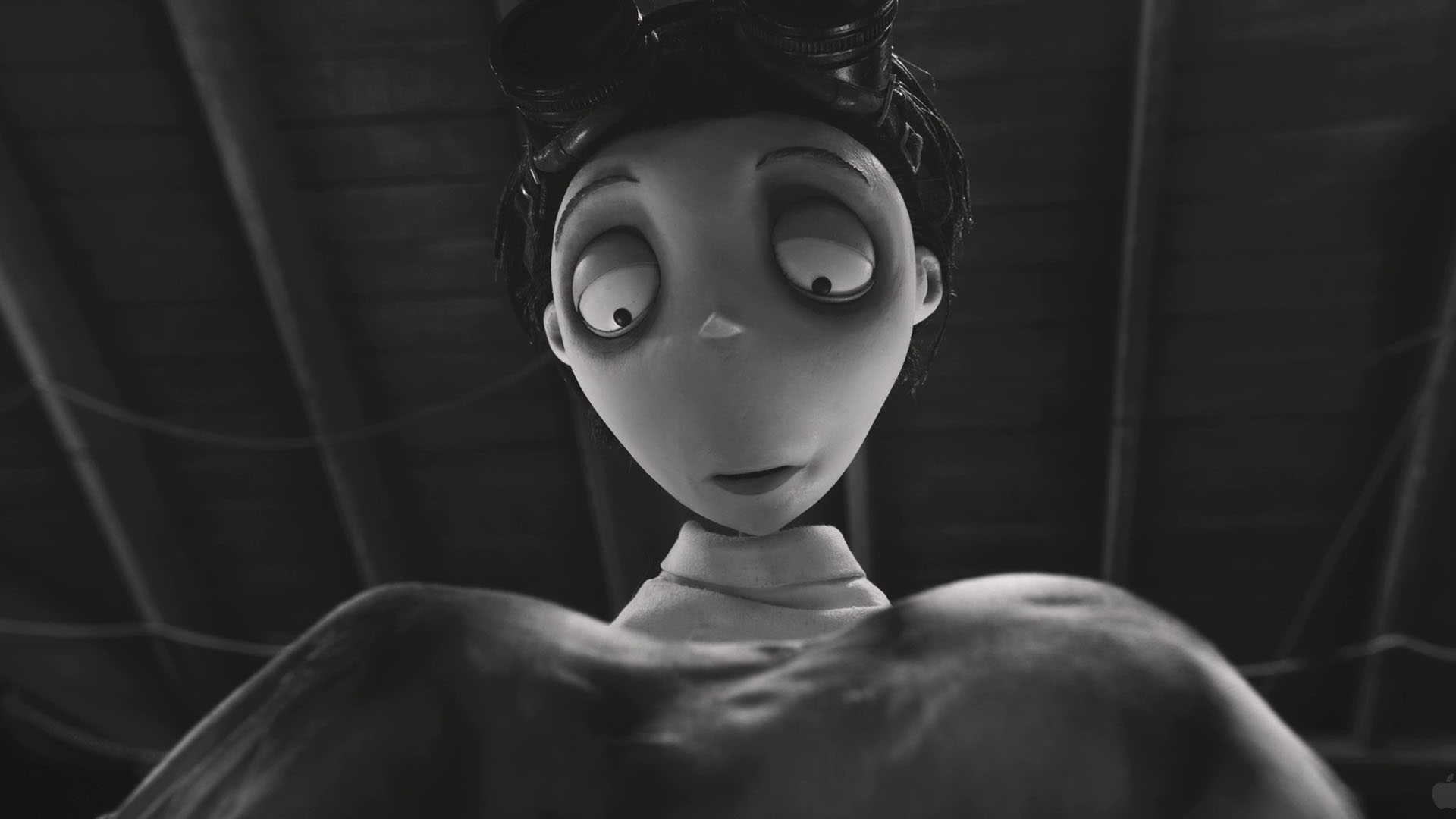 Frankenweenie Wallpapers