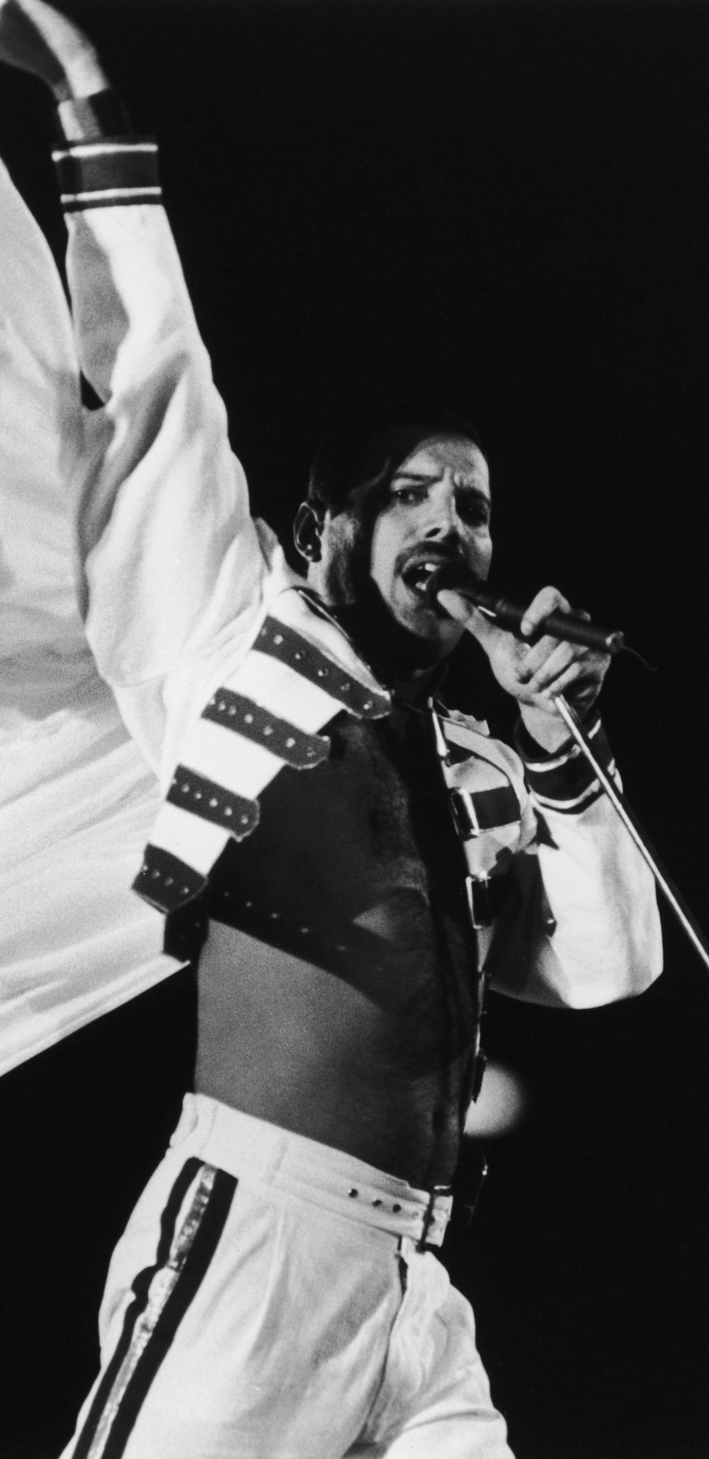 Freddie Mercury Wallpapers