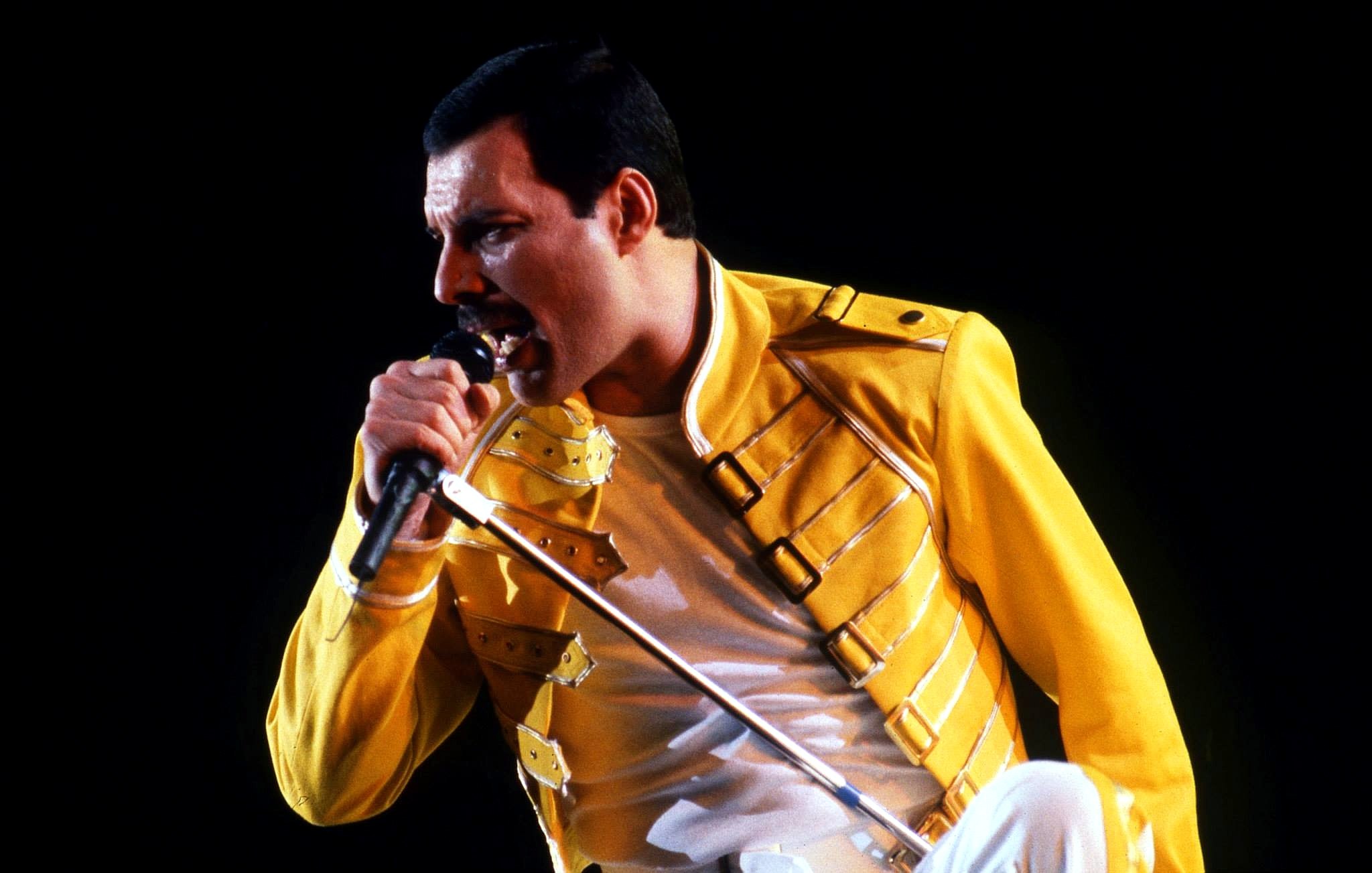 Freddie Mercury Wallpapers