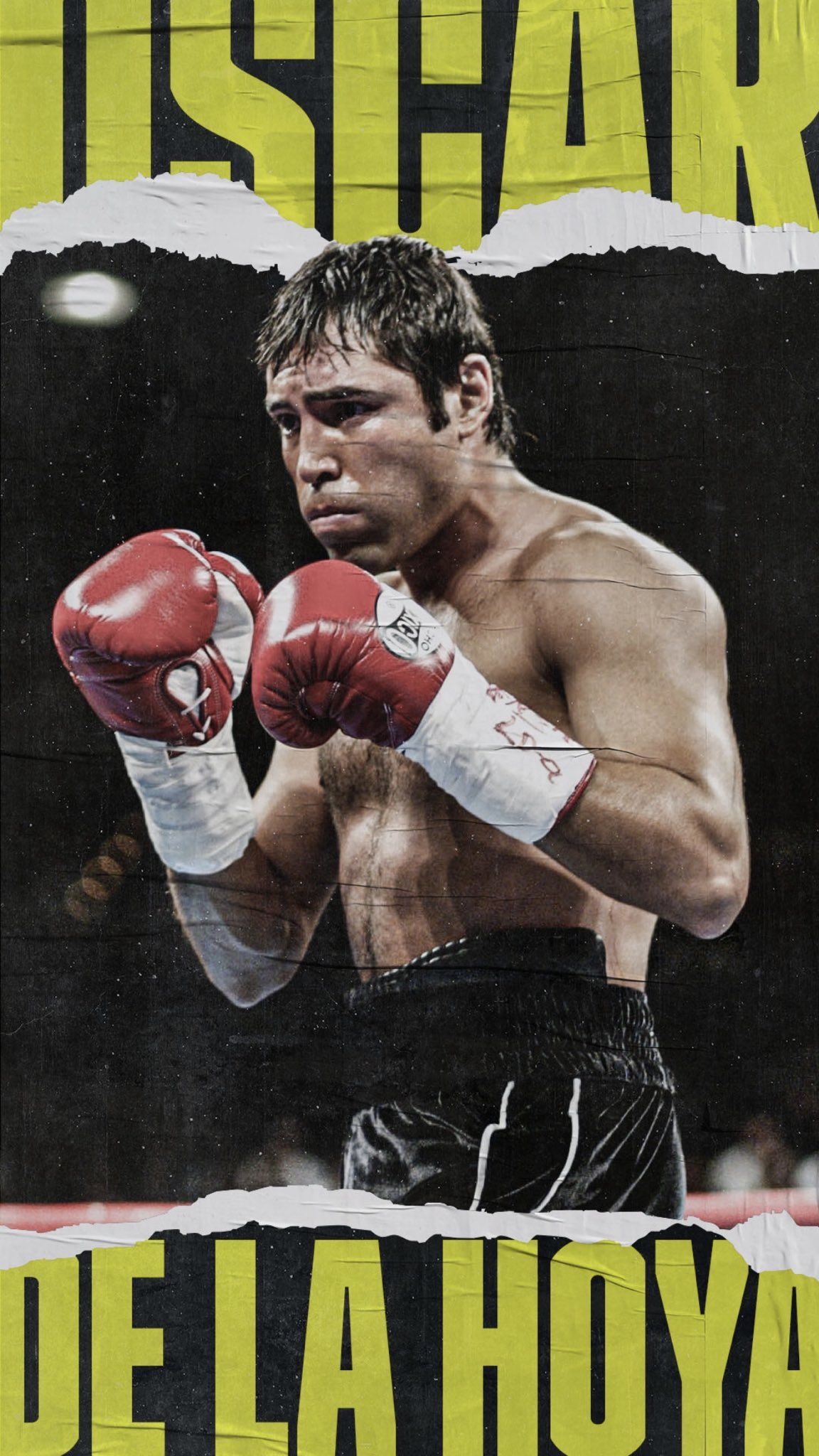 Free De La Hoya Wallpapers