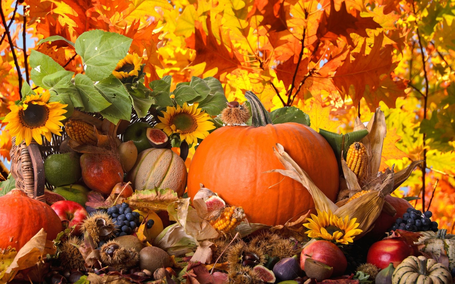 Free Thanksgiving Desktop Wallpapers