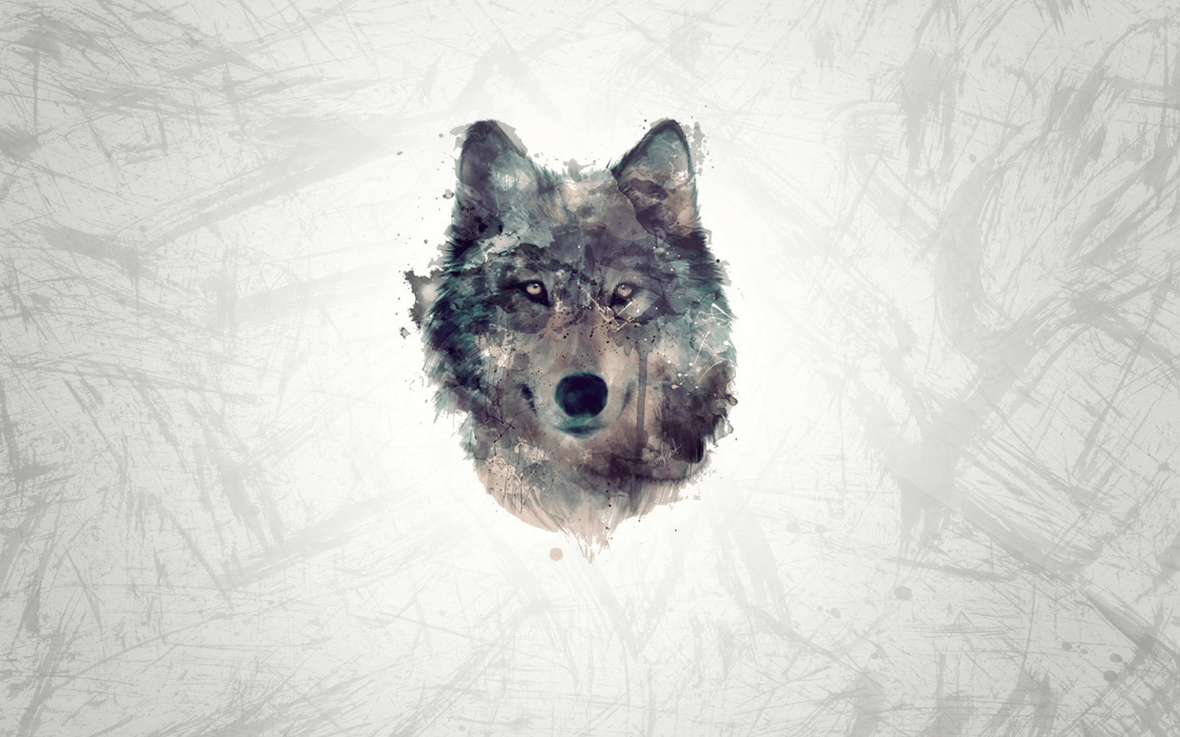 Free Wolf For Android Wallpapers