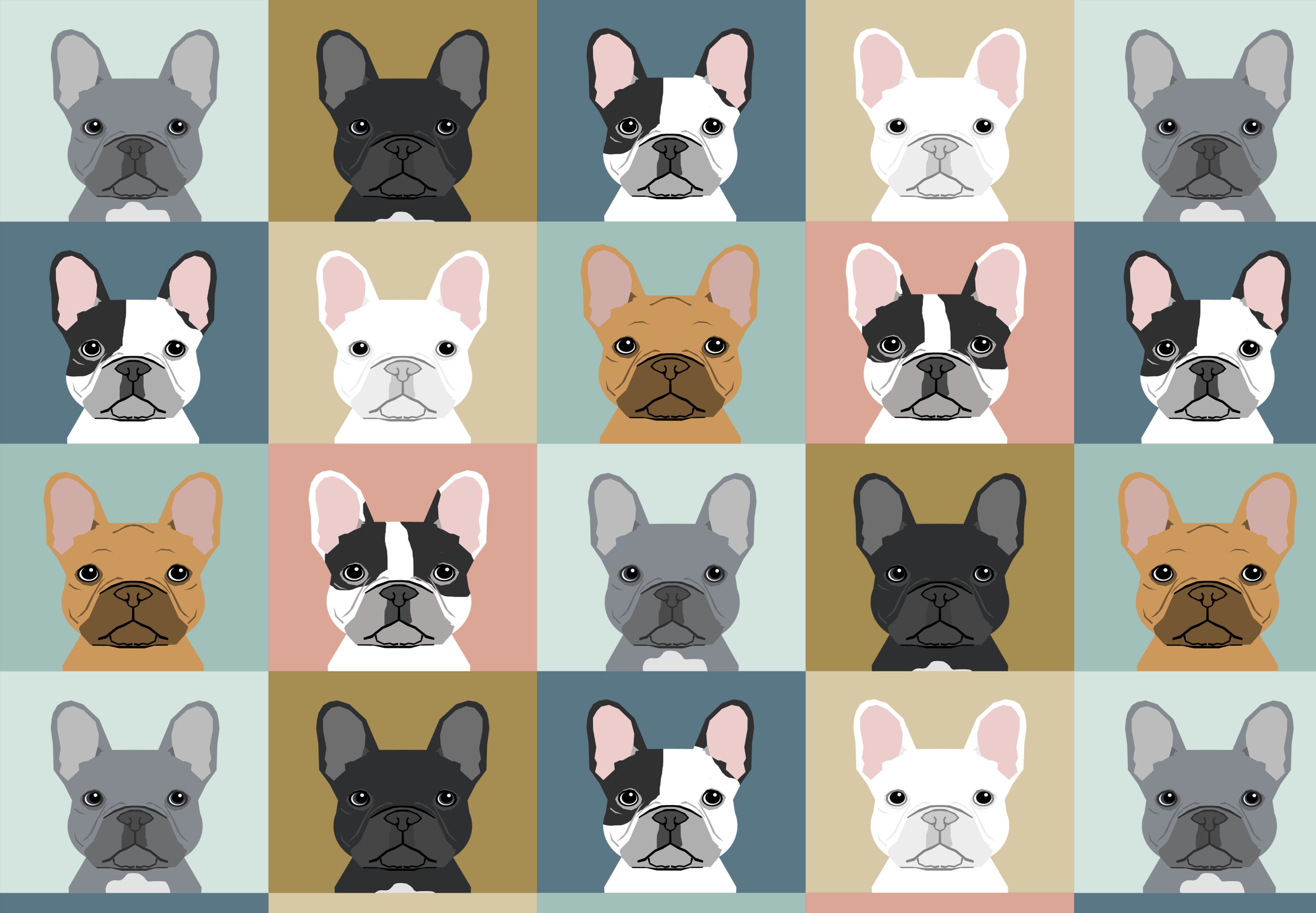 French Bulldog Wallpapers