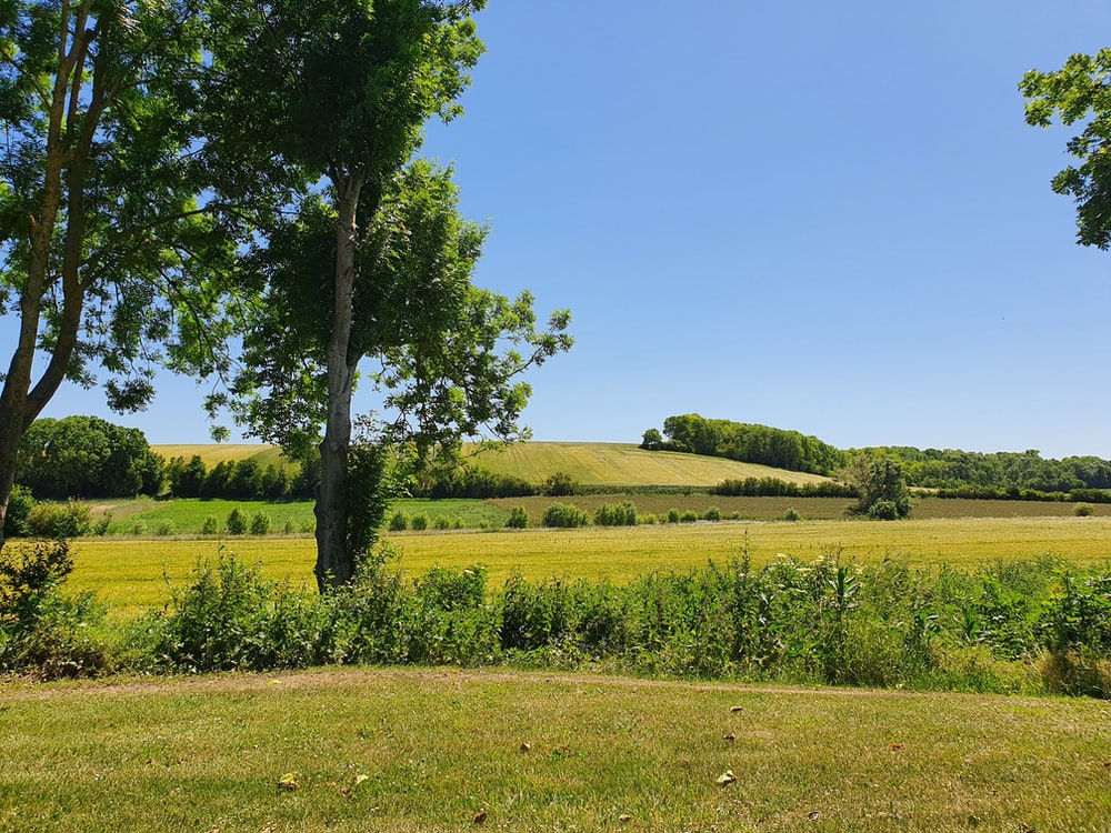 French Countryside Wallpapers