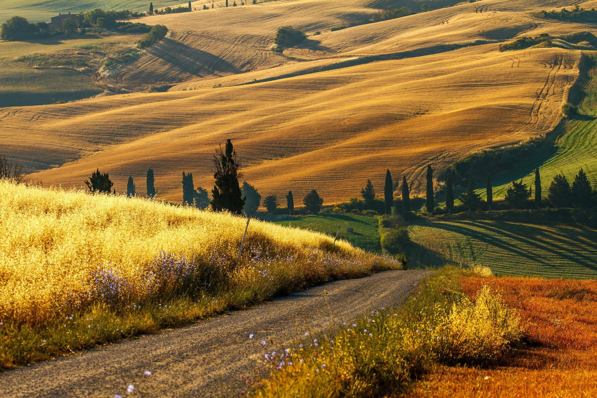 French Countryside Wallpapers